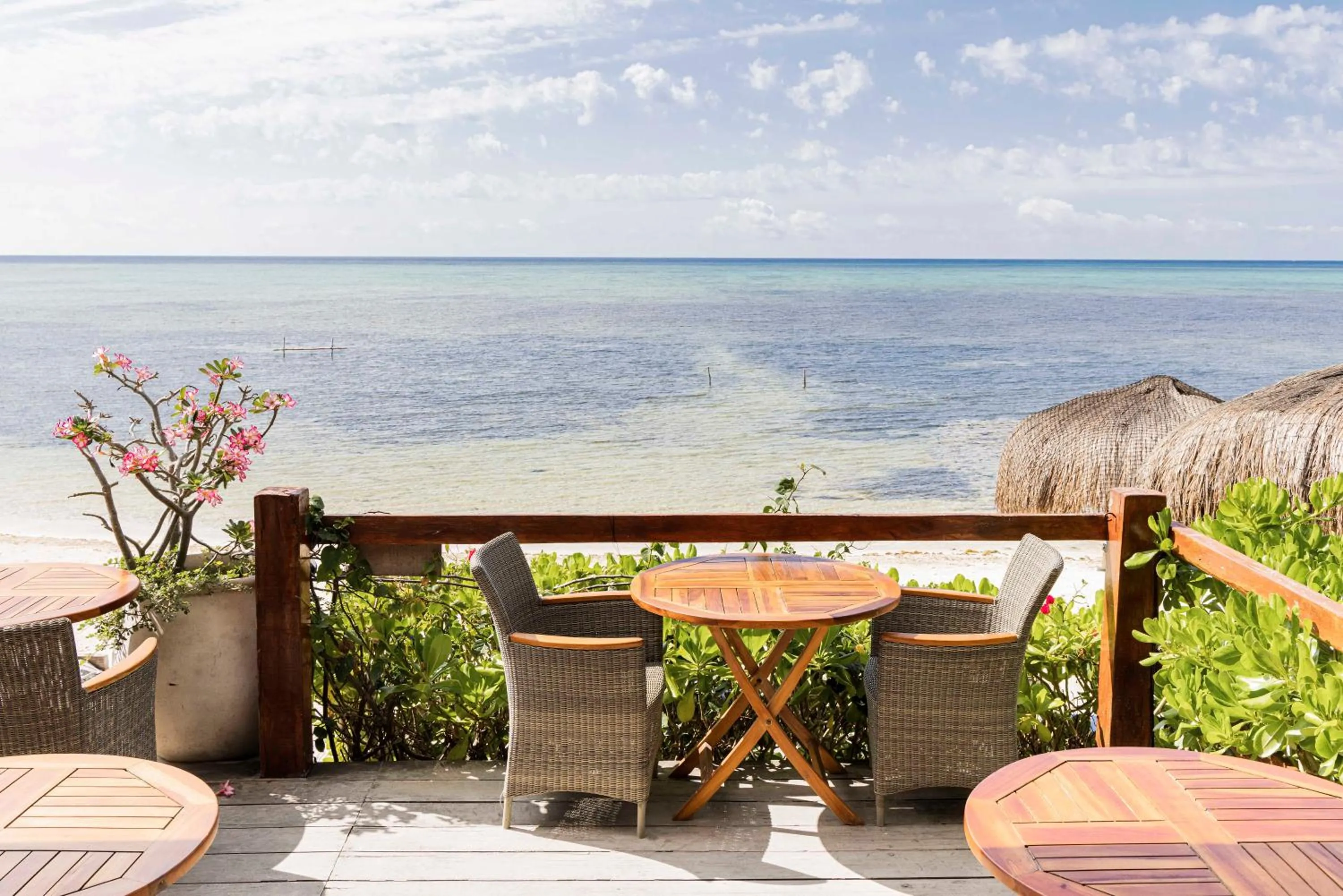 Patio in Jashita Hotel