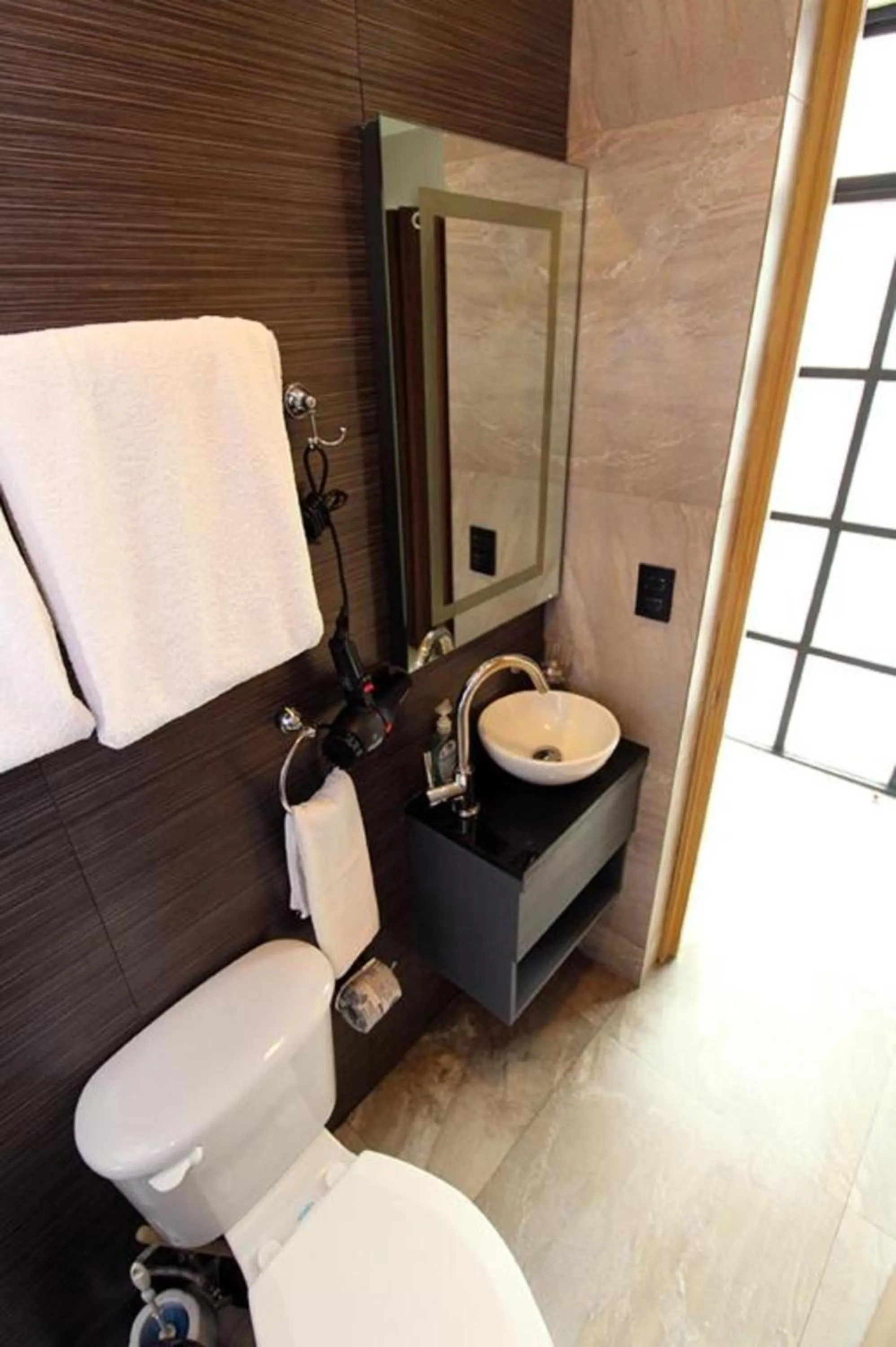 Toilet in Rochester 10