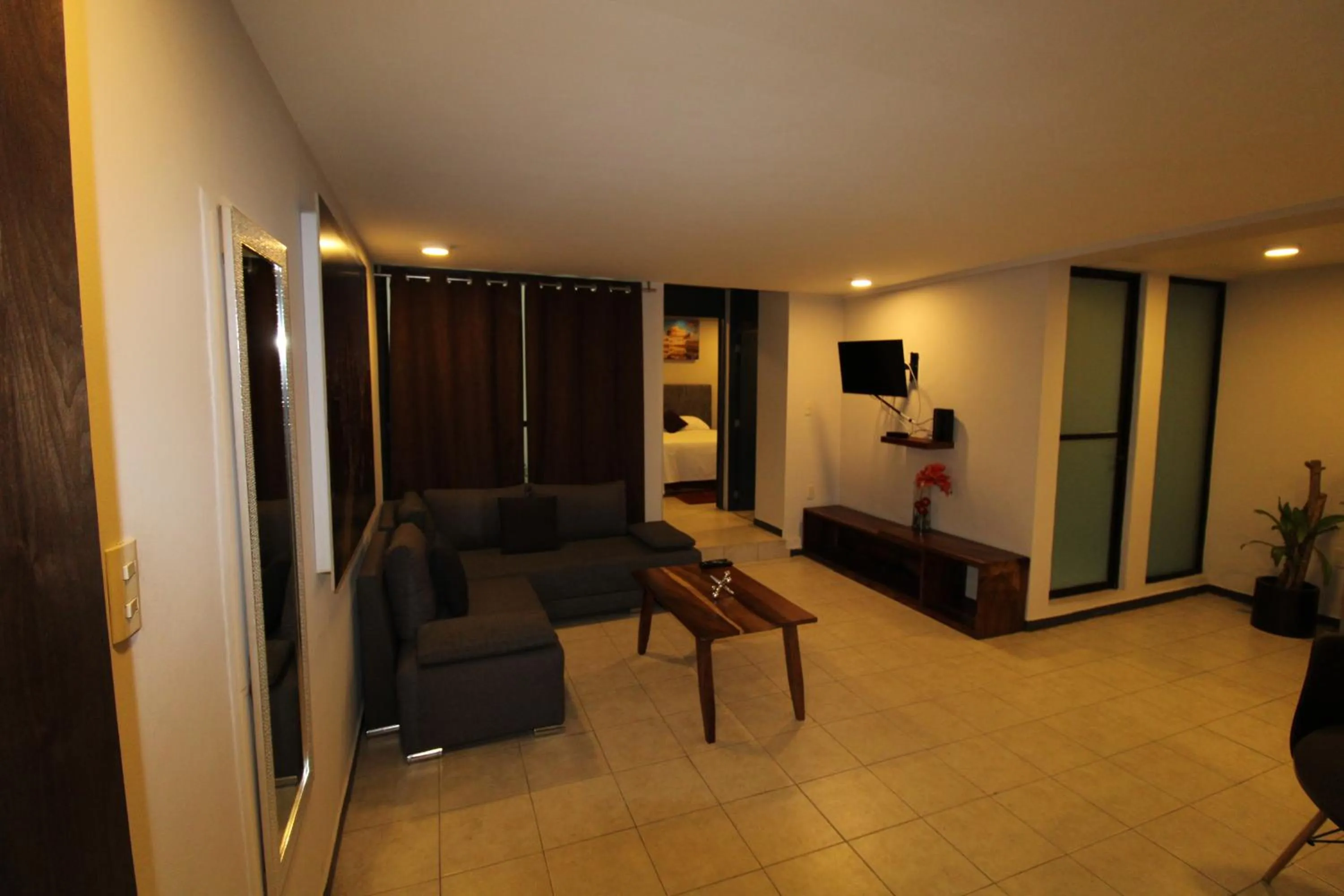 TV and multimedia in Rochester 10