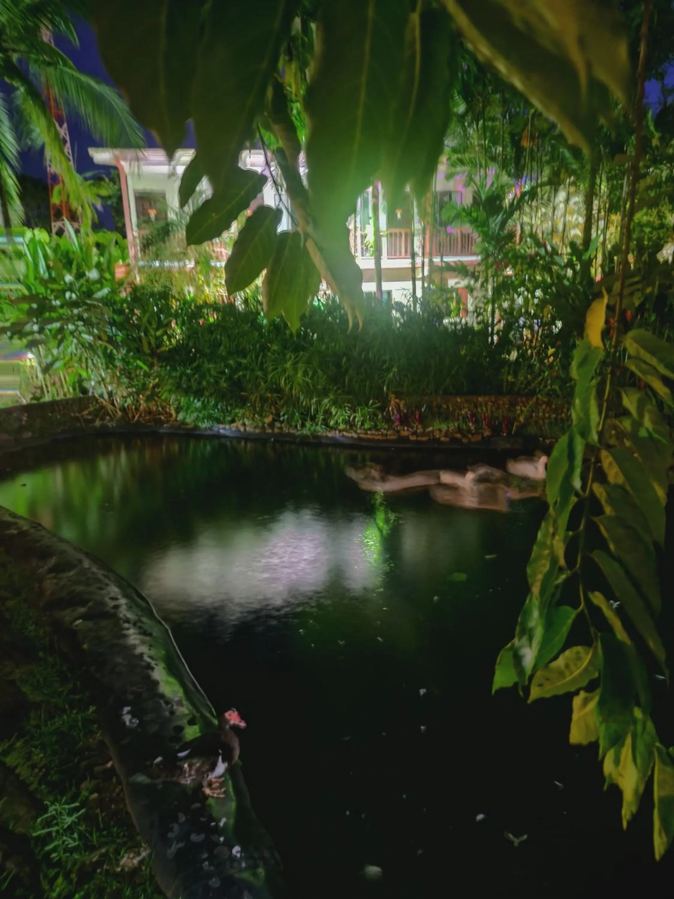 Natural landscape in Diuwak