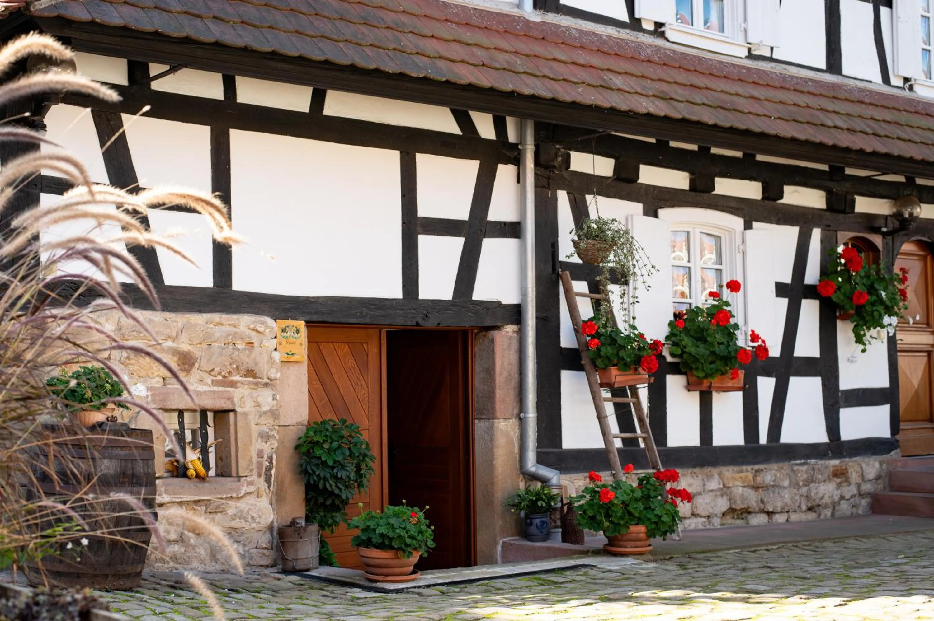 Facade/entrance in Gîtes et chambres d'hôtes Maison Ungerer
