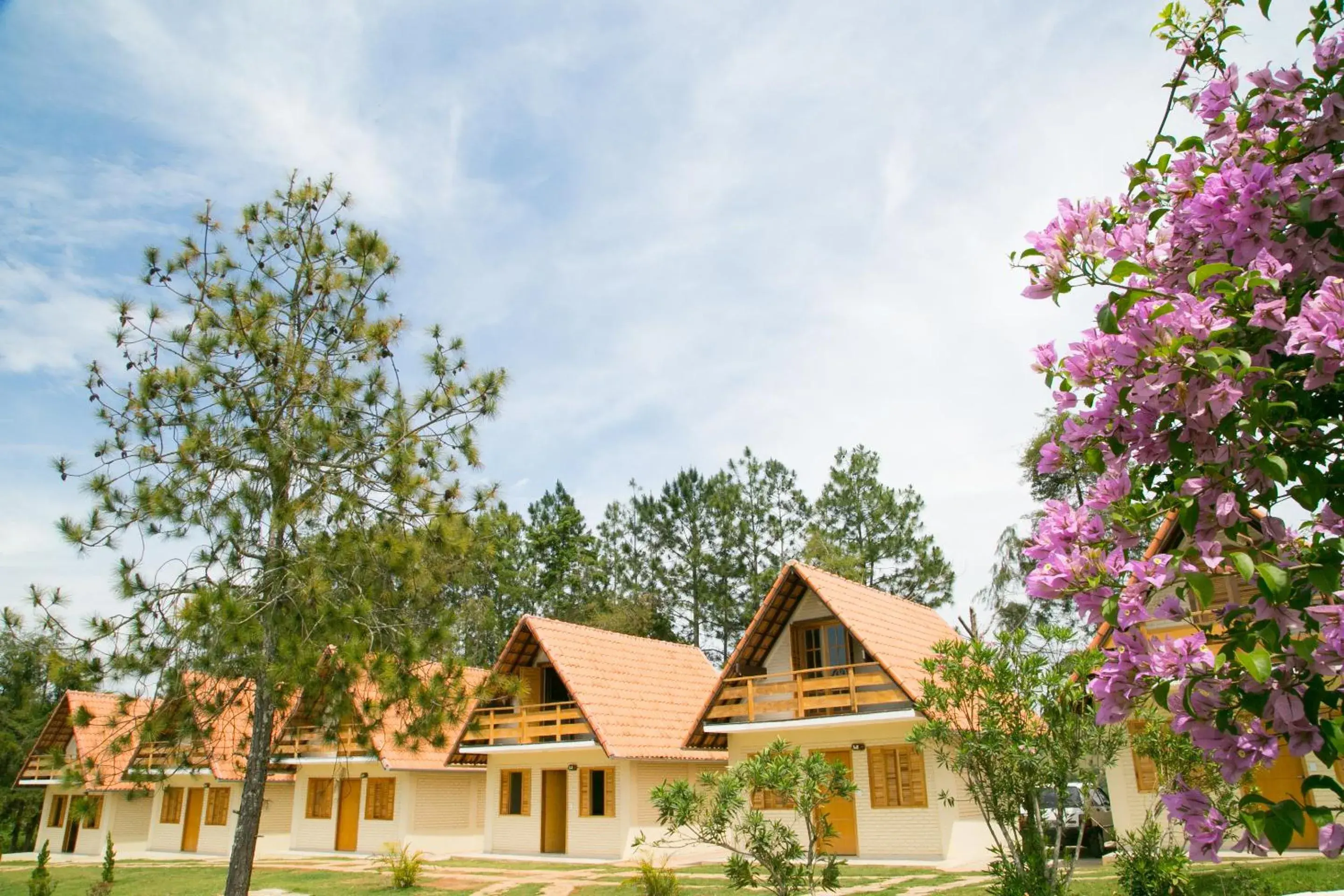 Superior Chalet in Hotel Fazenda Vista Alegre Superior Chalet in Hotel Fazenda Vista Alegre