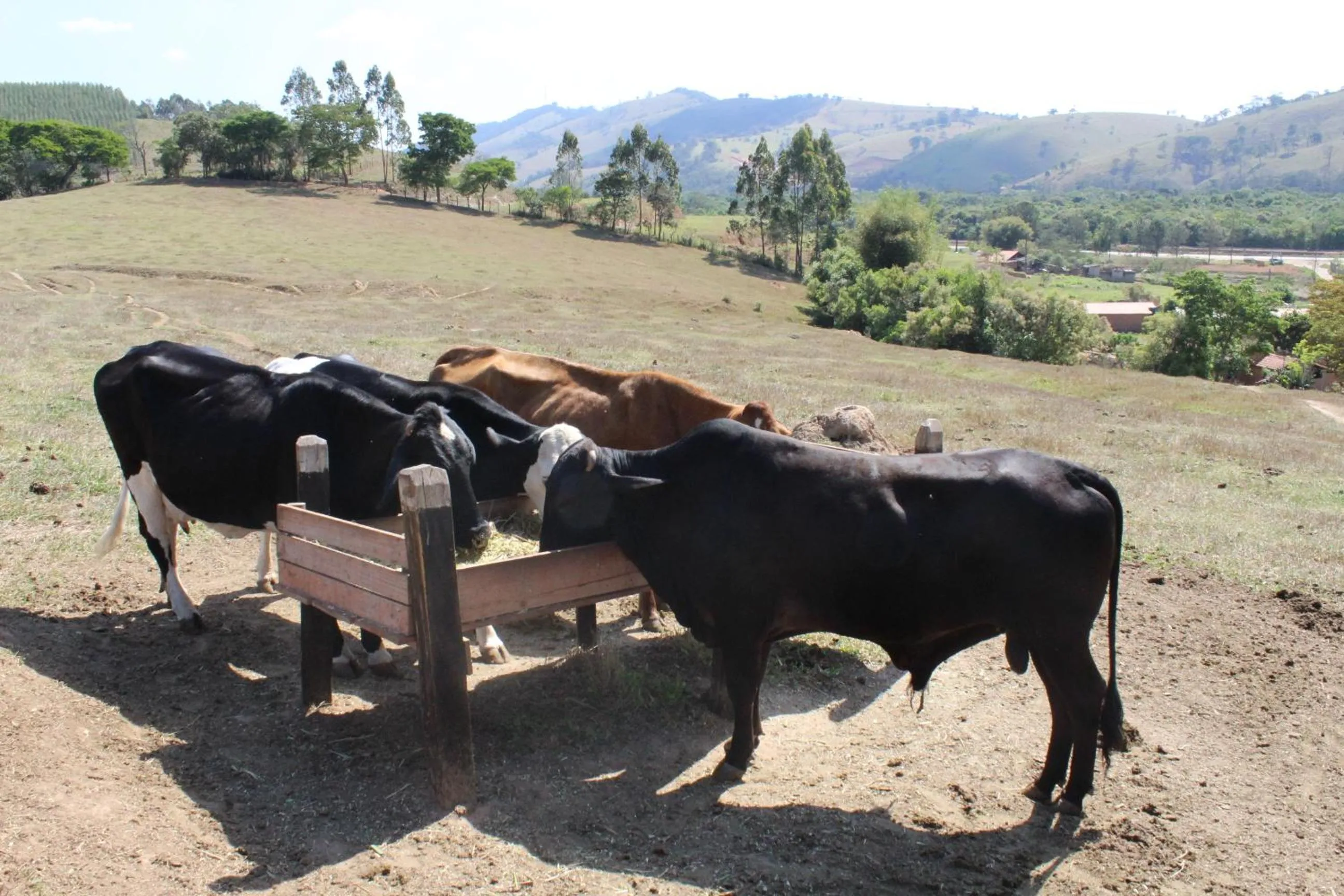 Day in Hotel Fazenda Vista Alegre