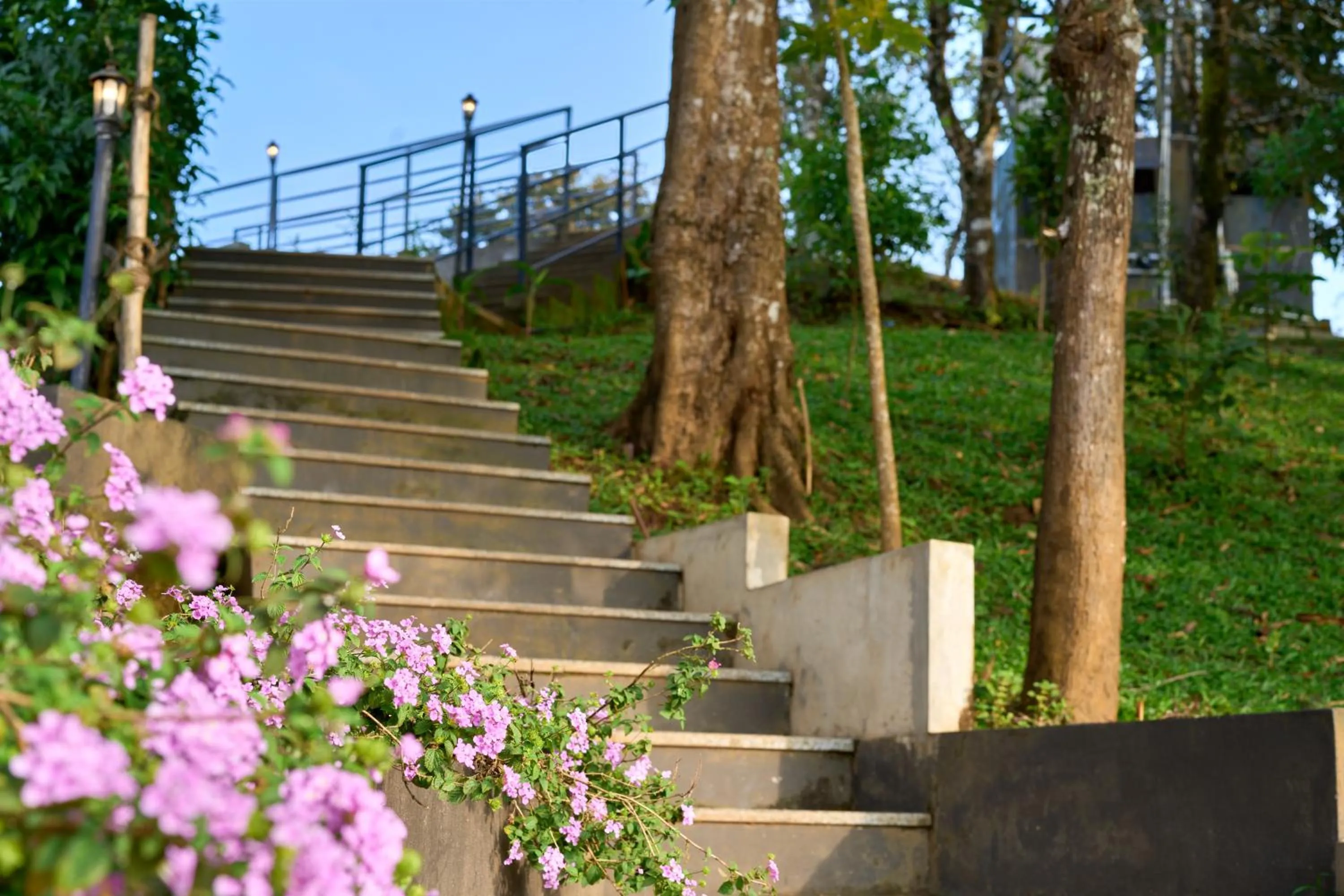 View (from property/room) in Haze and Kites Resort Munnar