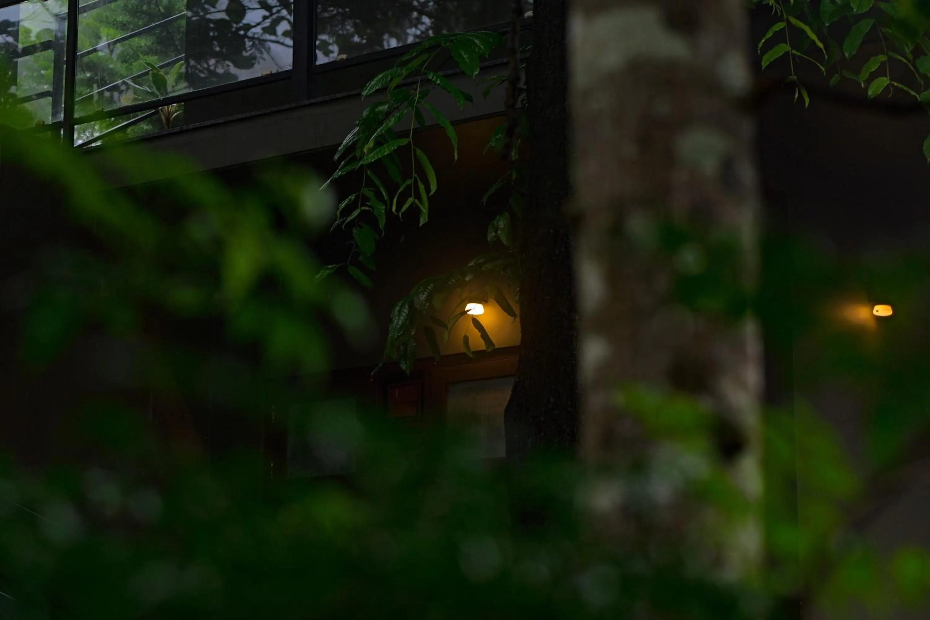 Area and facilities in Haze and Kites Resort Munnar