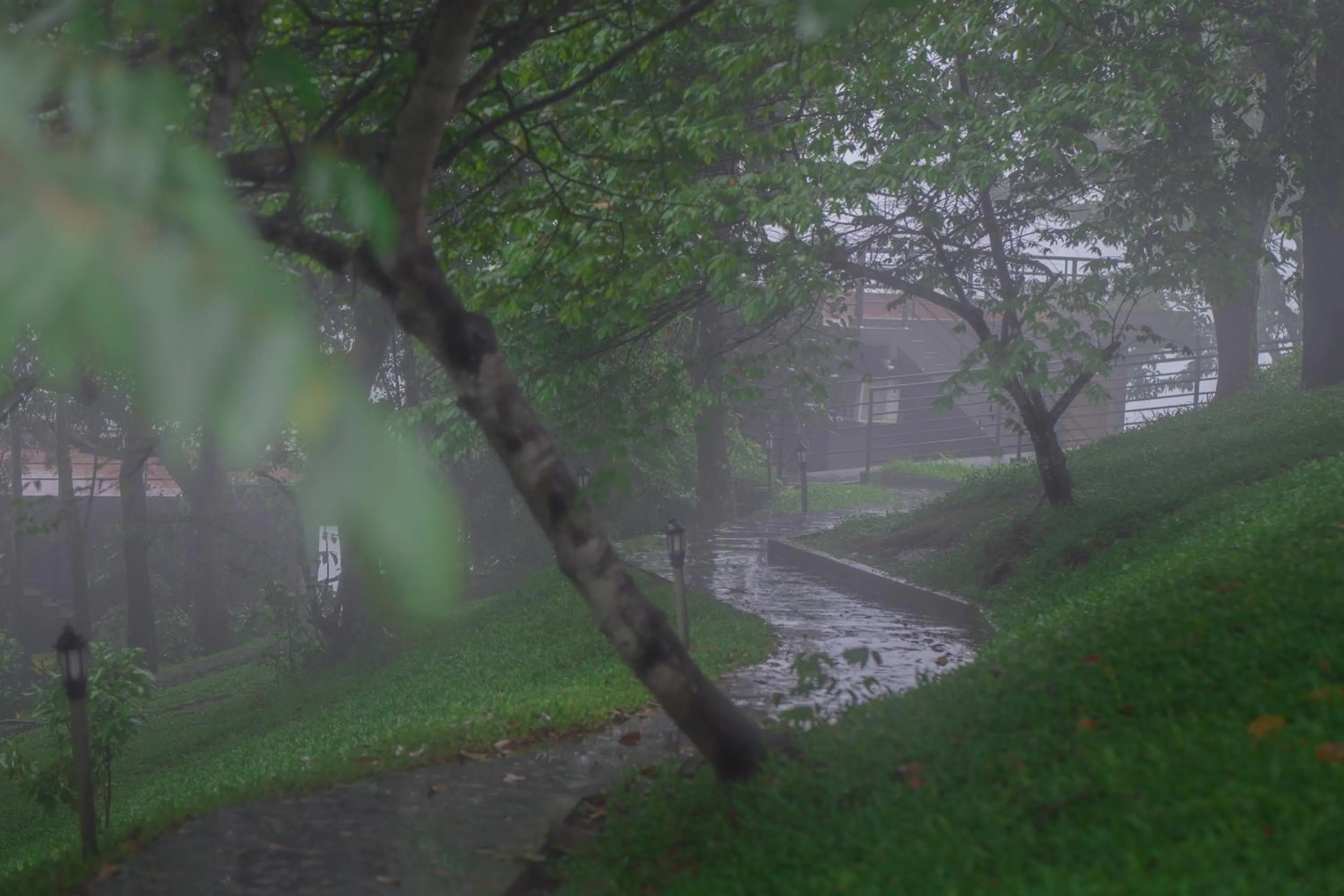 Garden in Haze and Kites Resort Munnar