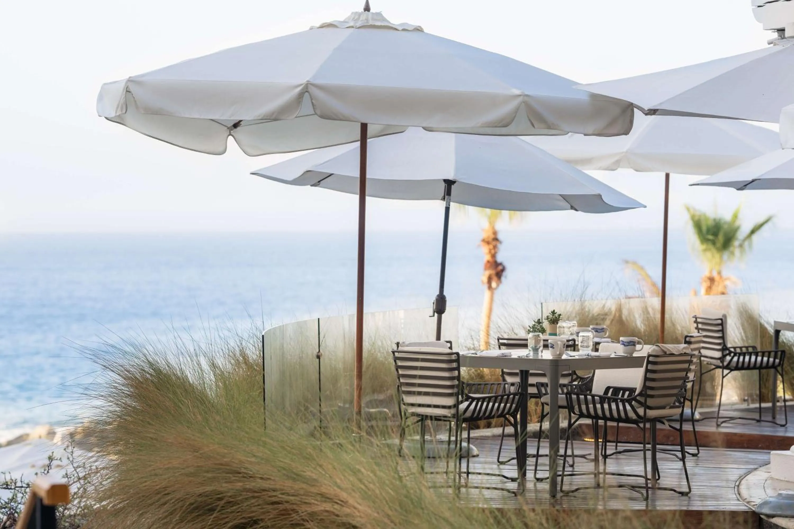 Restaurant/places to eat in Hilton Los Cabos