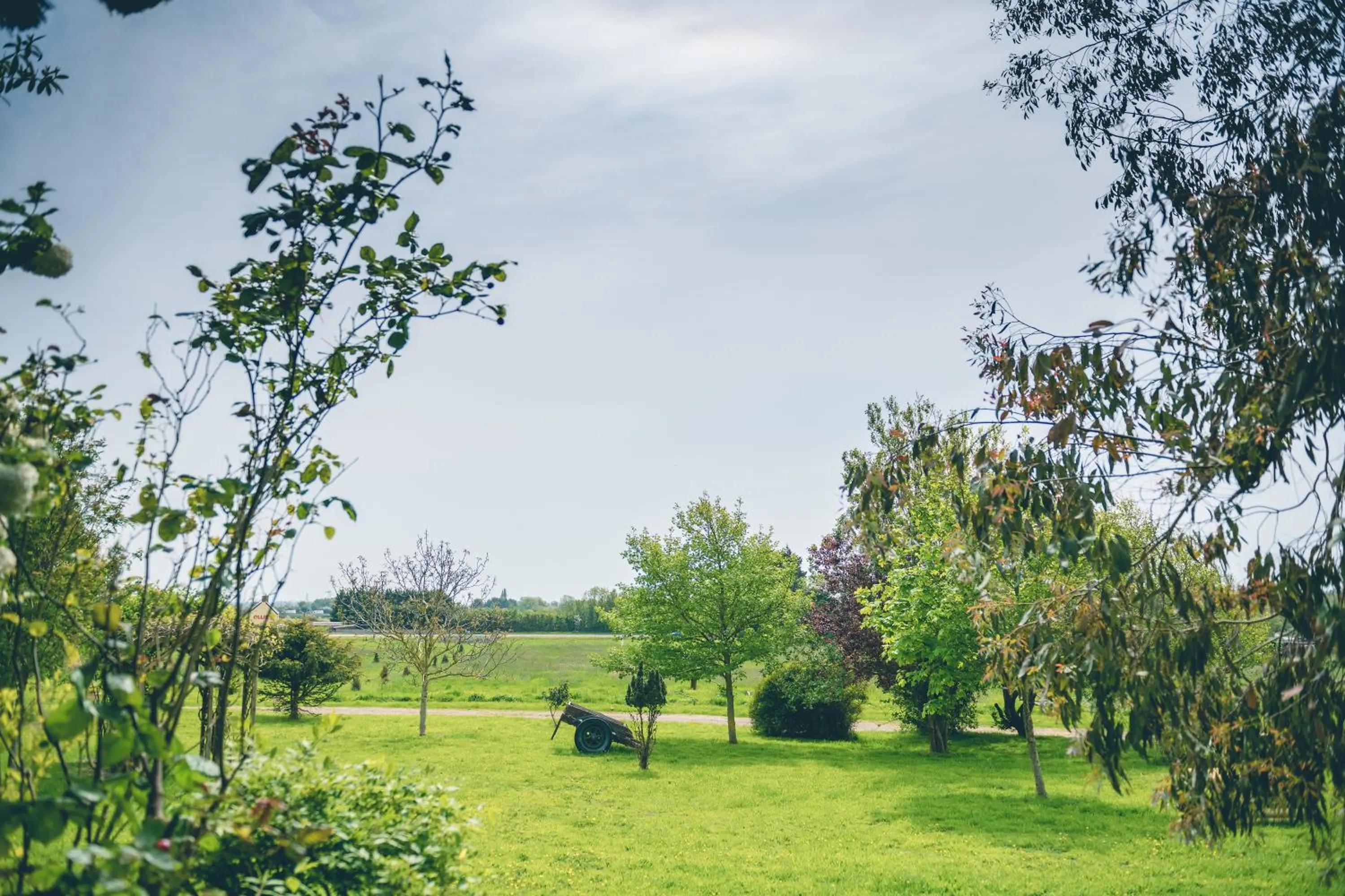 Garden in The Grange Hotel Brent Knoll