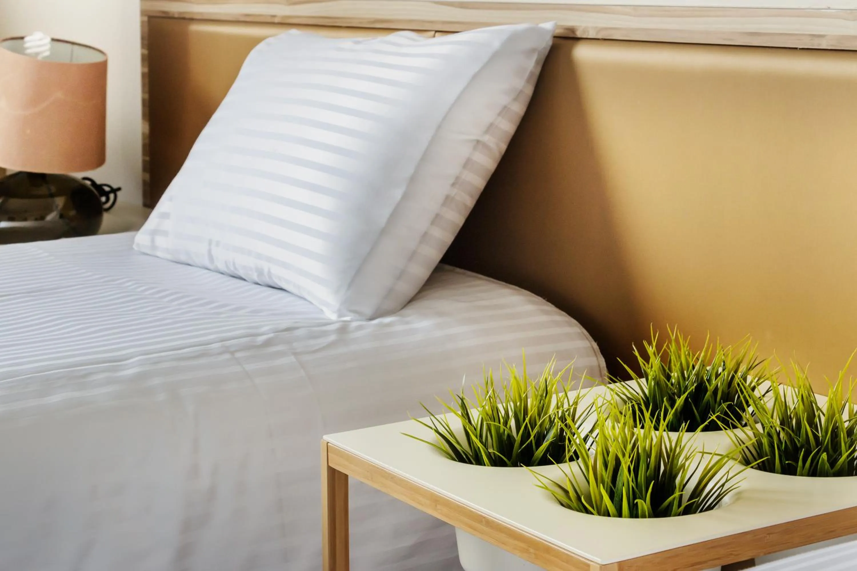 Spring, Bed in Taitung Spring Homestay B&B