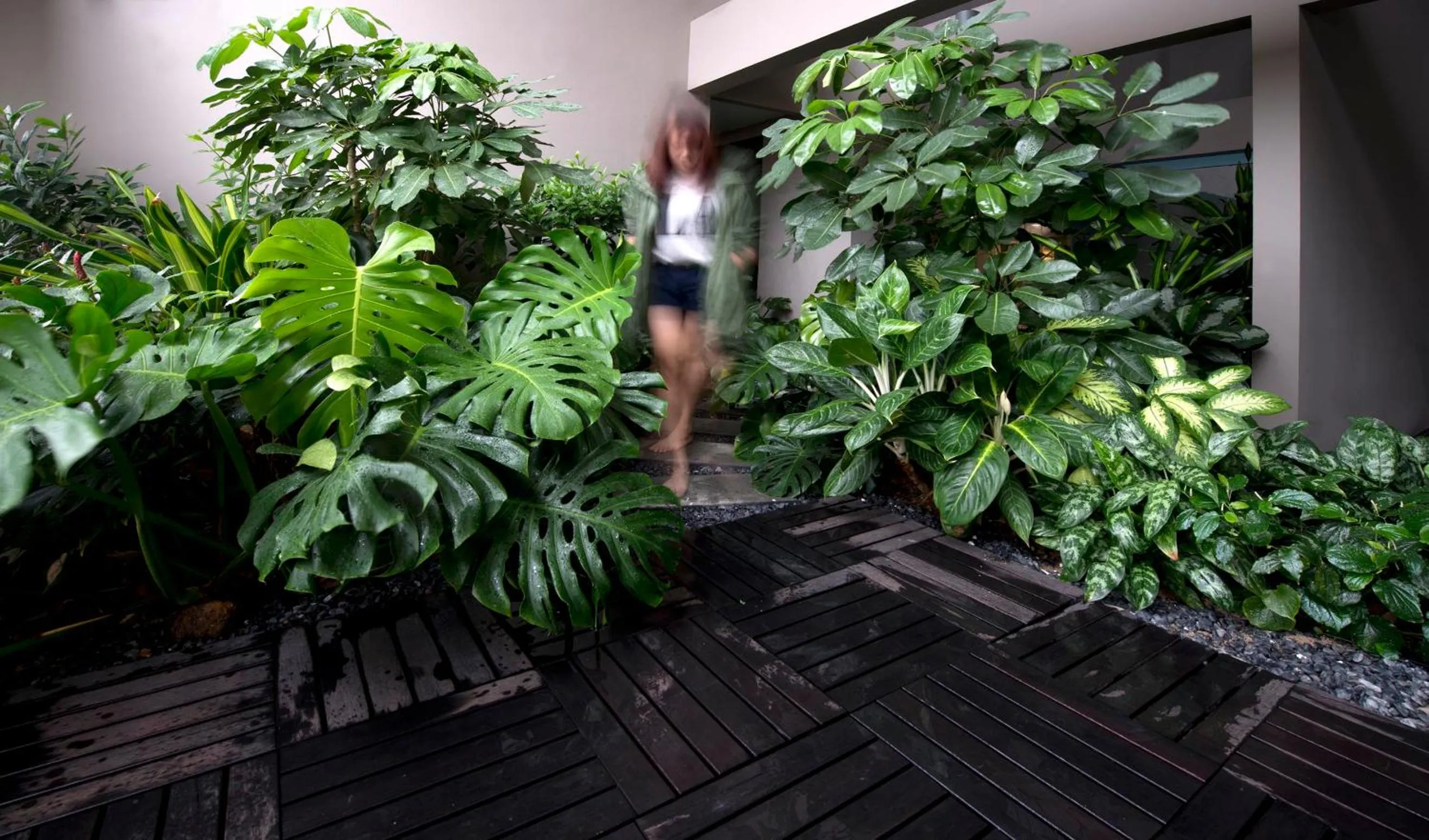 Garden in V Hotel Bencoolen