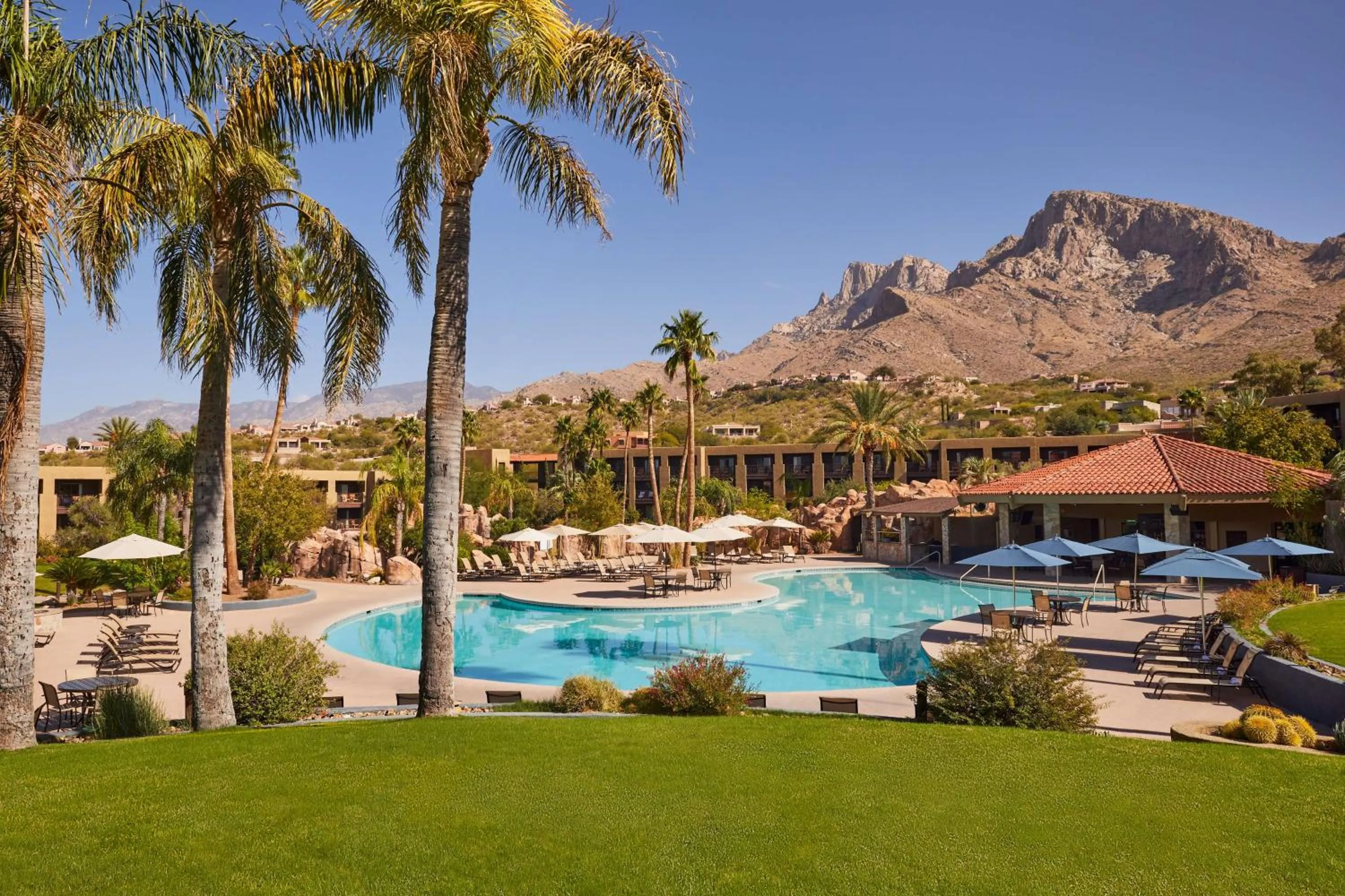Pool view in El Conquistador Tucson, A Hilton Resort