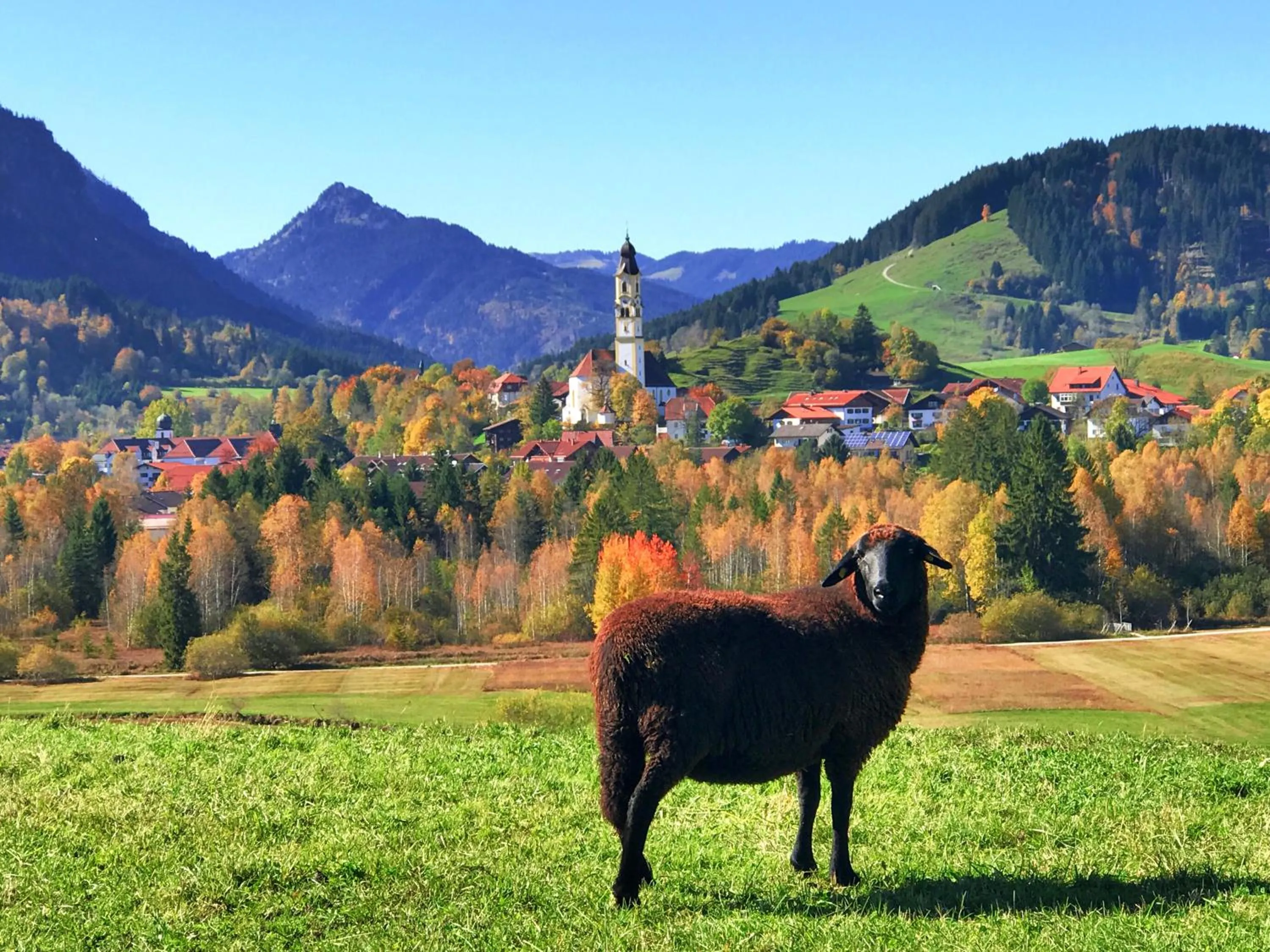Natural landscape in Hotel Kienberger Hof