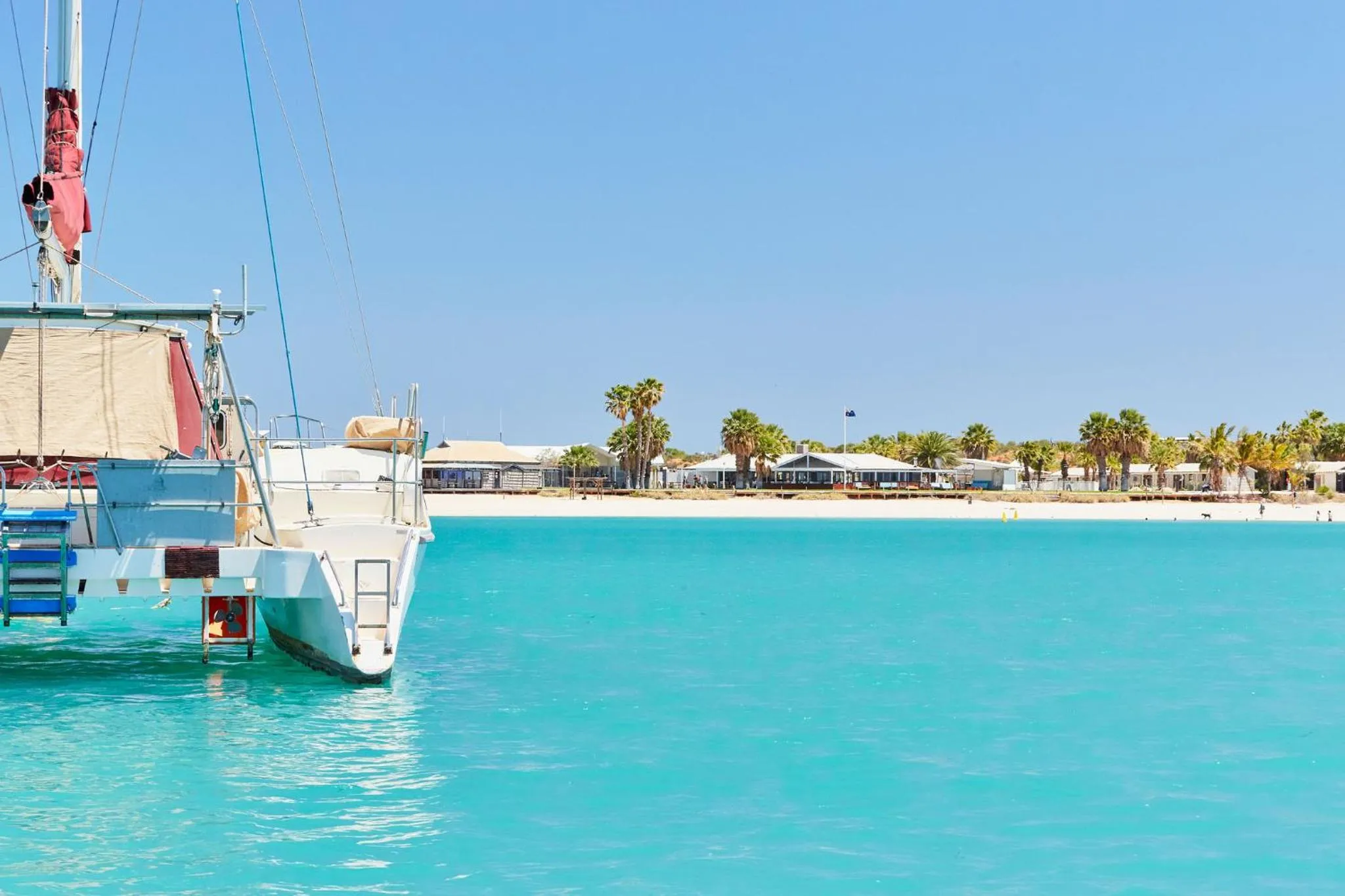 Beach in RAC Monkey Mia Dolphin Resort