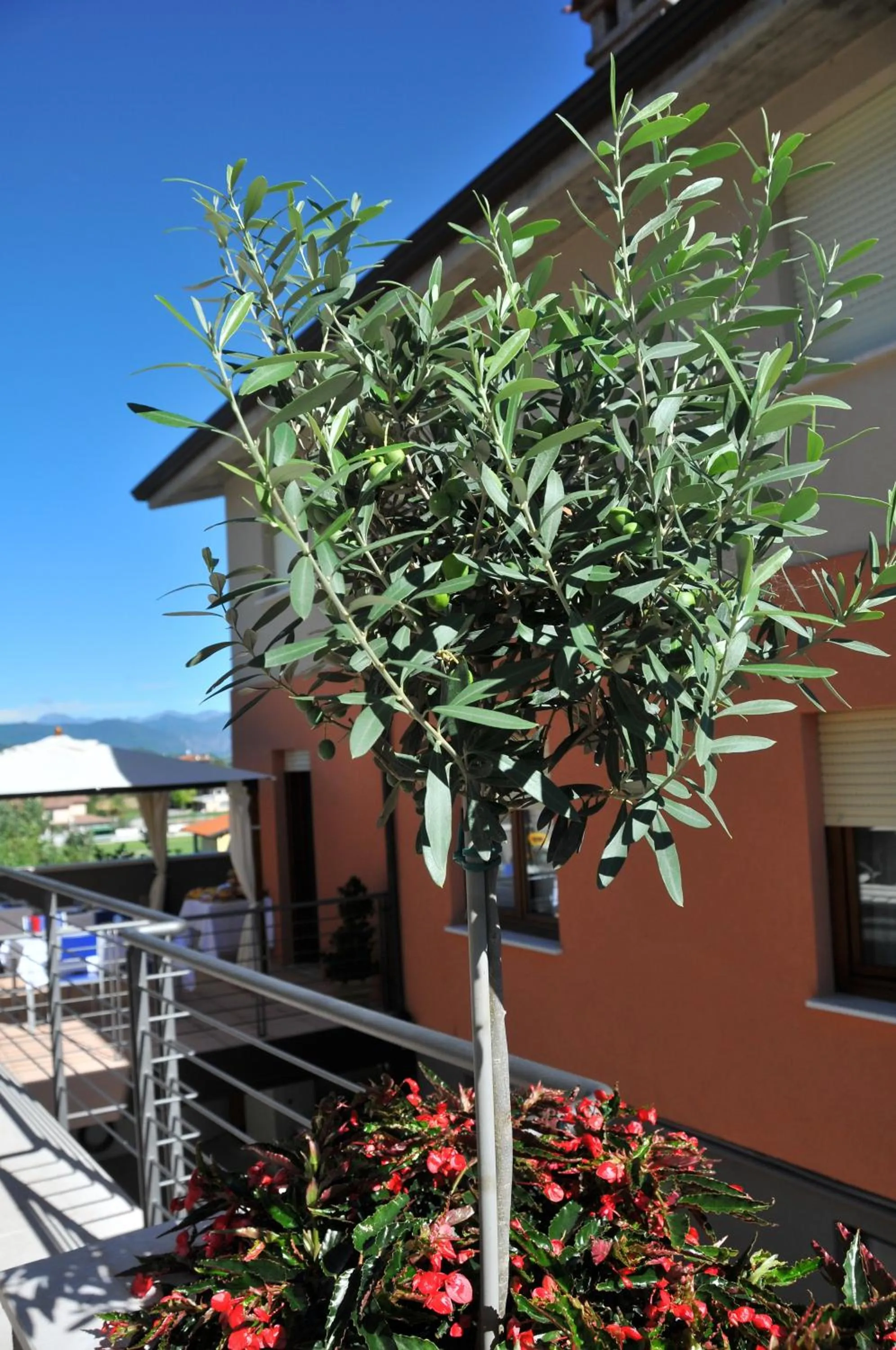 Facade/entrance in Bed & Breakfast Vieulif