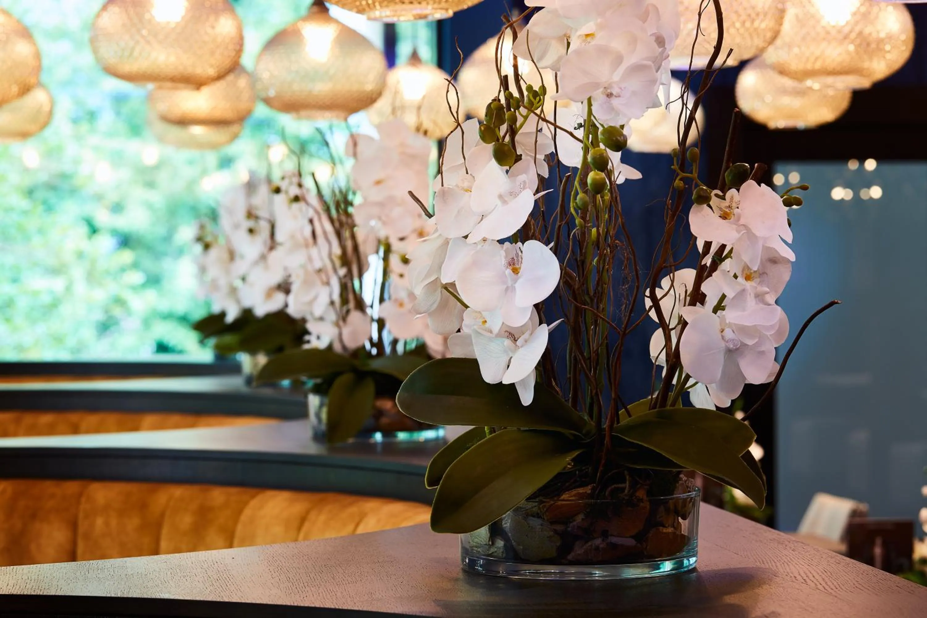 Restaurant/places to eat in Dalmeny Park House Hotel