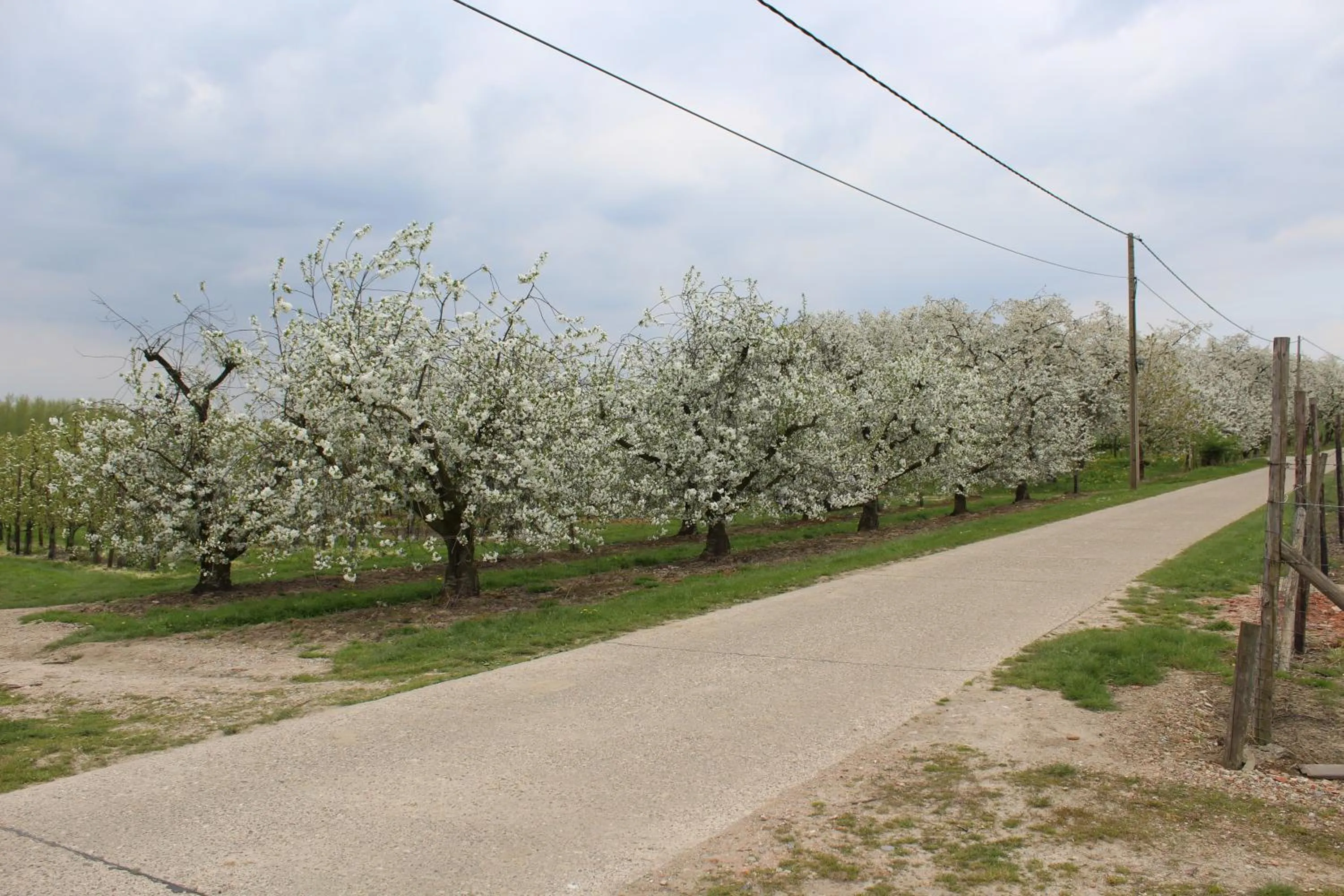 Natural landscape in B&B De Vroling
