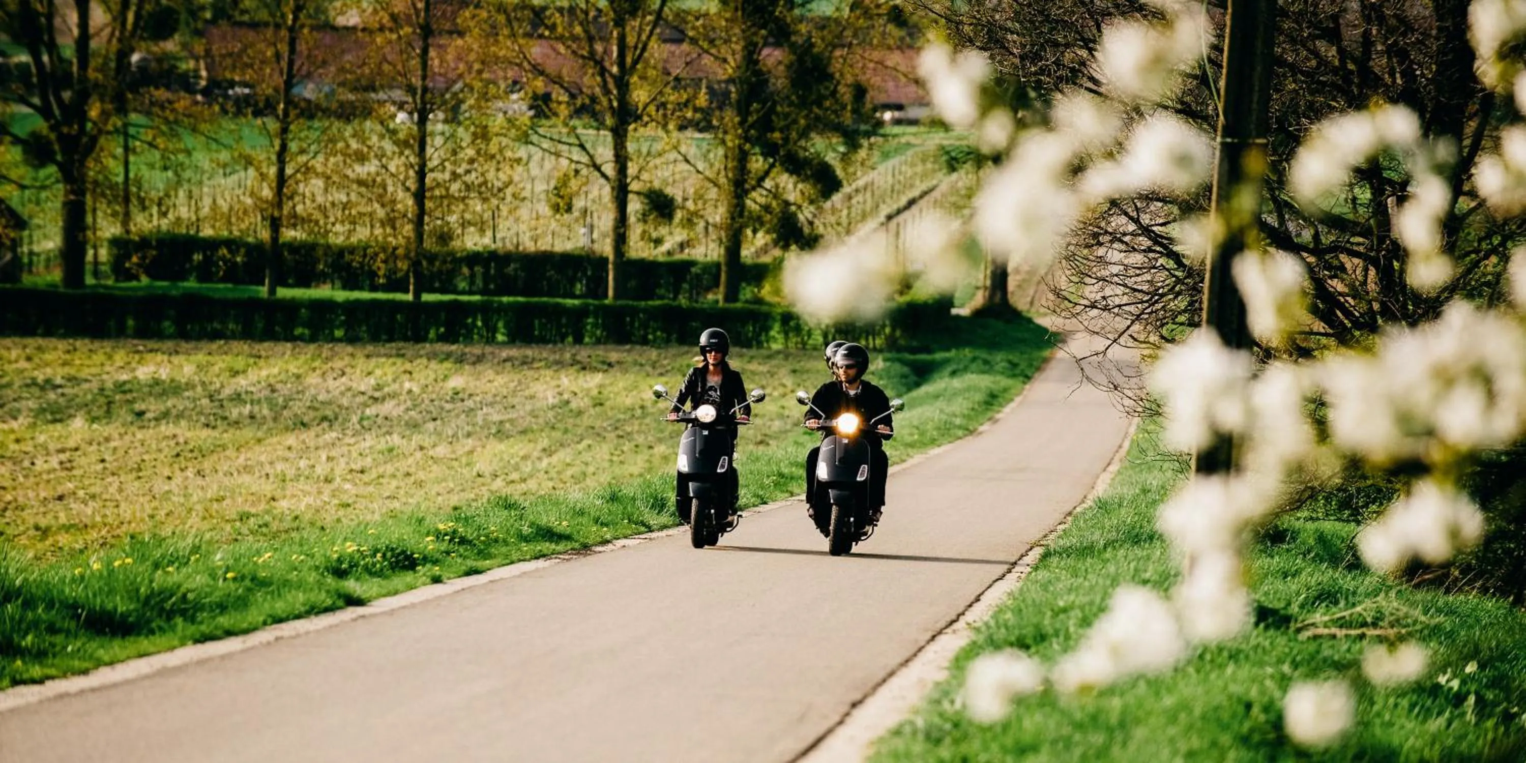 Entertainment in B&B De Vroling