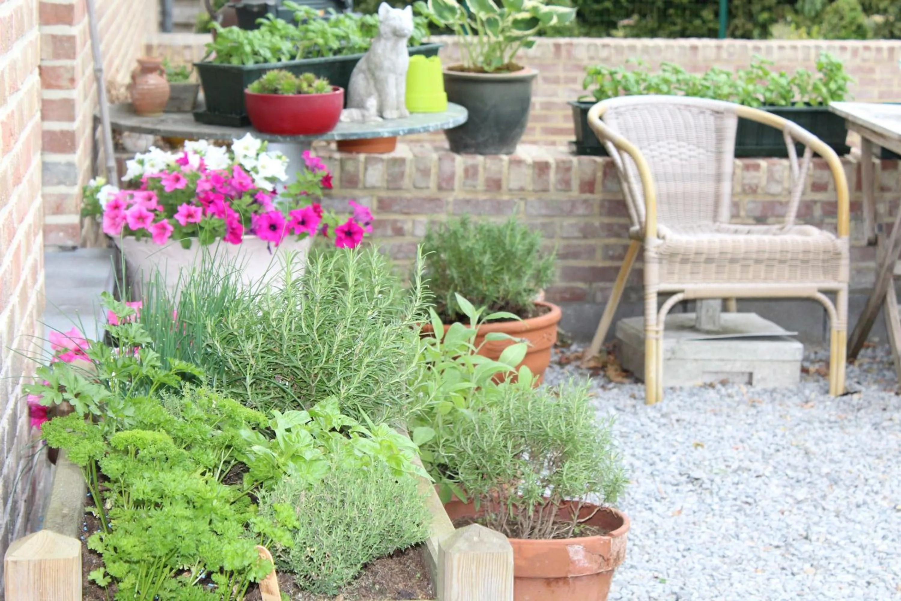 Garden in B&B De Vroling