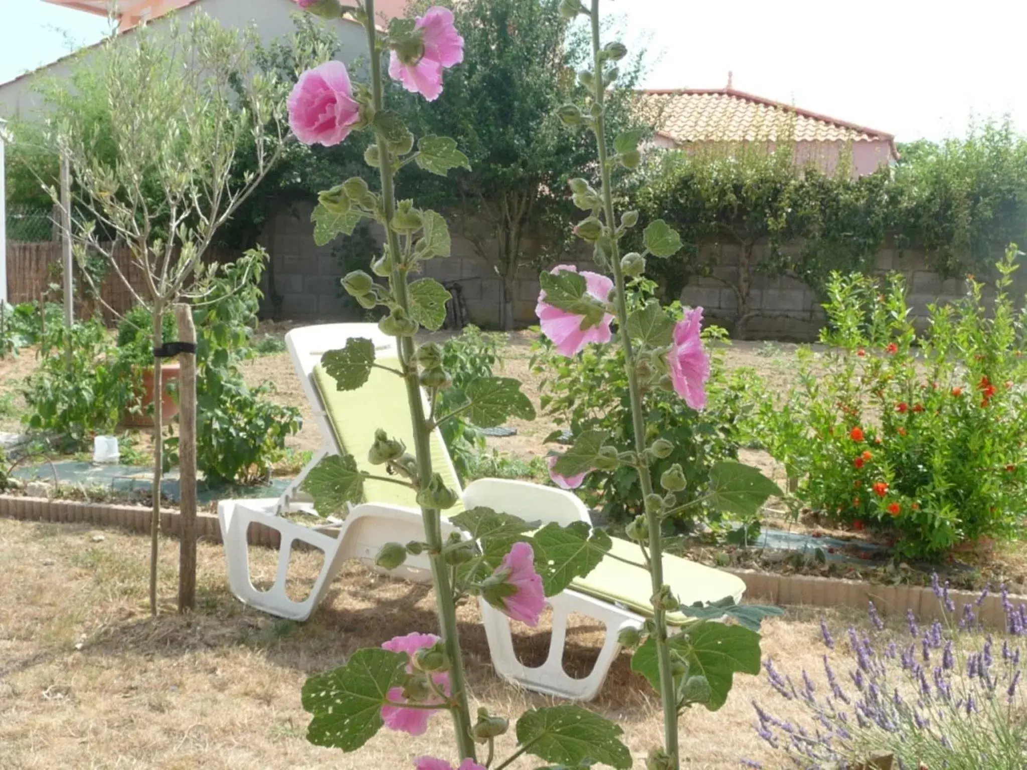 Chambre d'hôte Fleur de Potager Chambre d'hôte Fleur de Potager