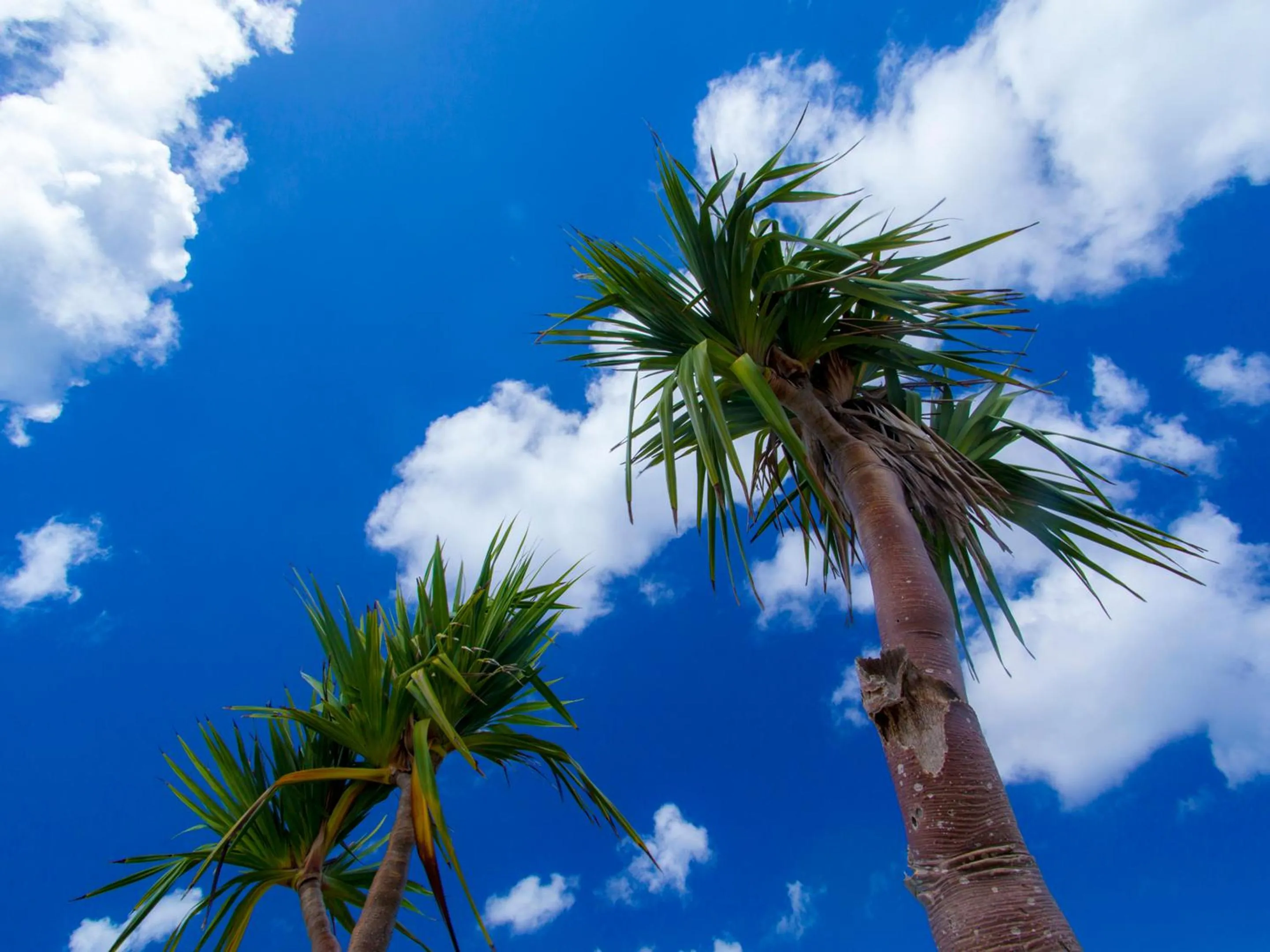 Nearby landmark in Blue Steak Wonder Nagahama