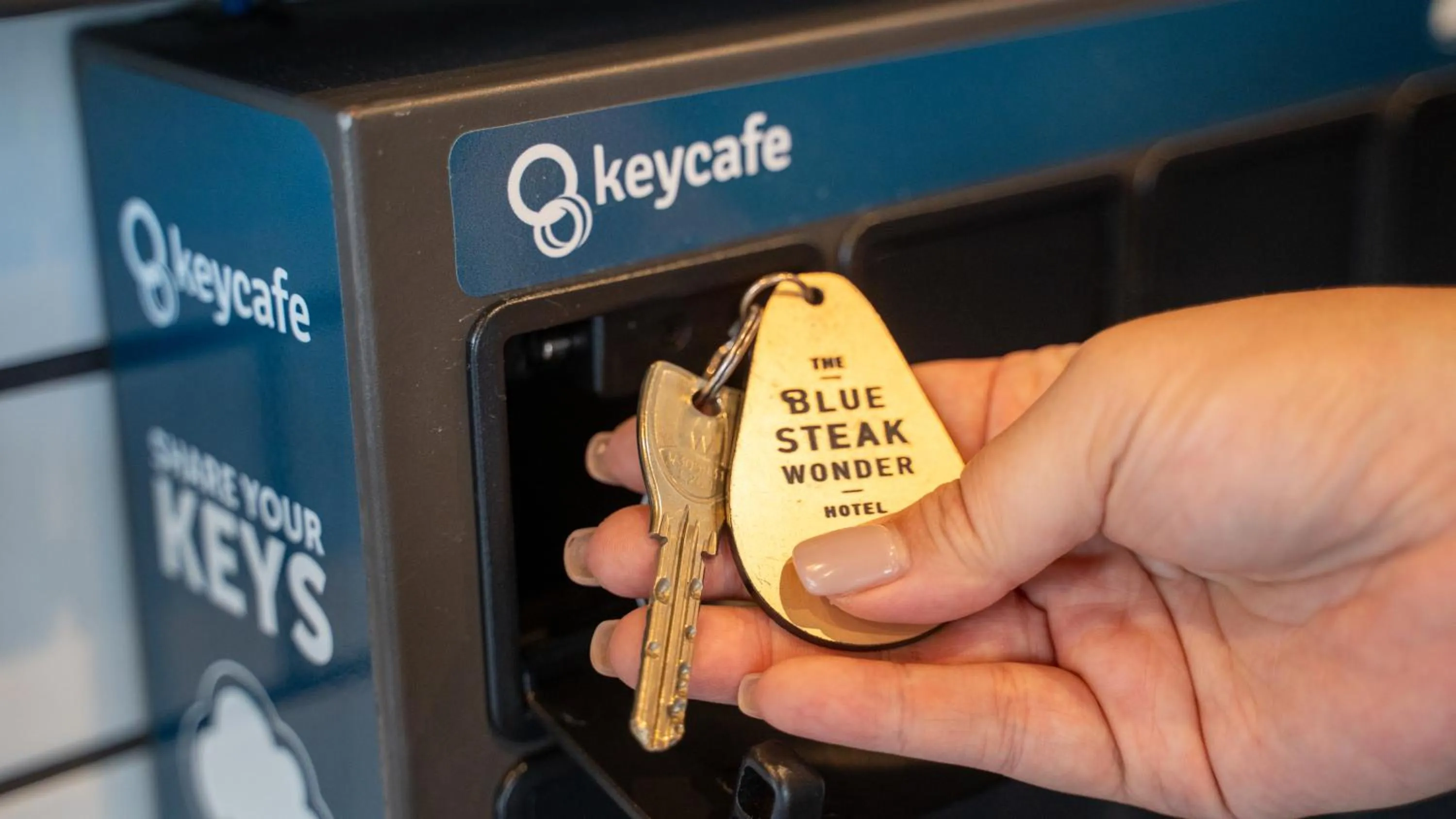 Lobby or reception in Blue Steak Wonder Nagahama