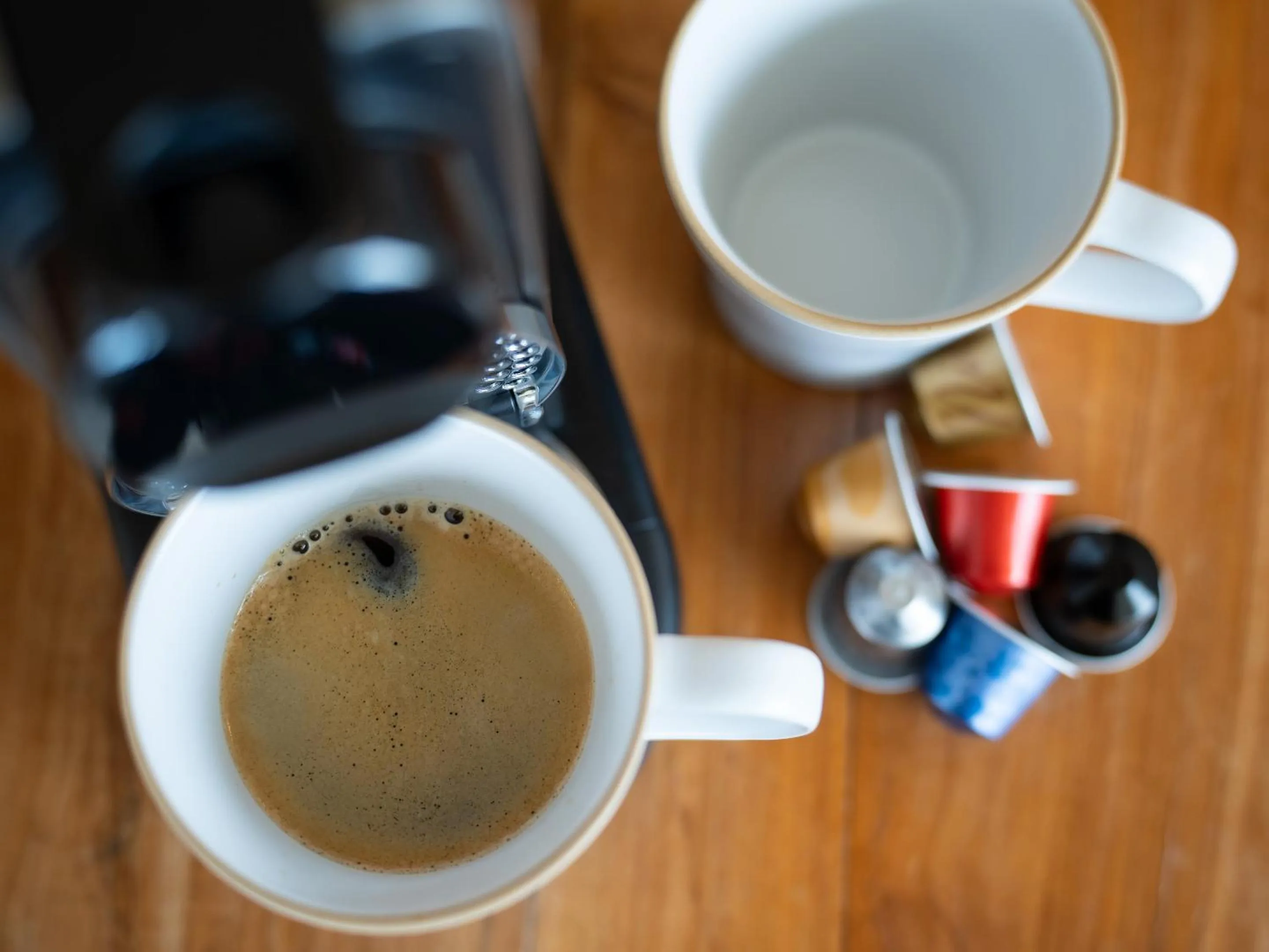 Area and facilities in Blue Steak Wonder Nagahama
