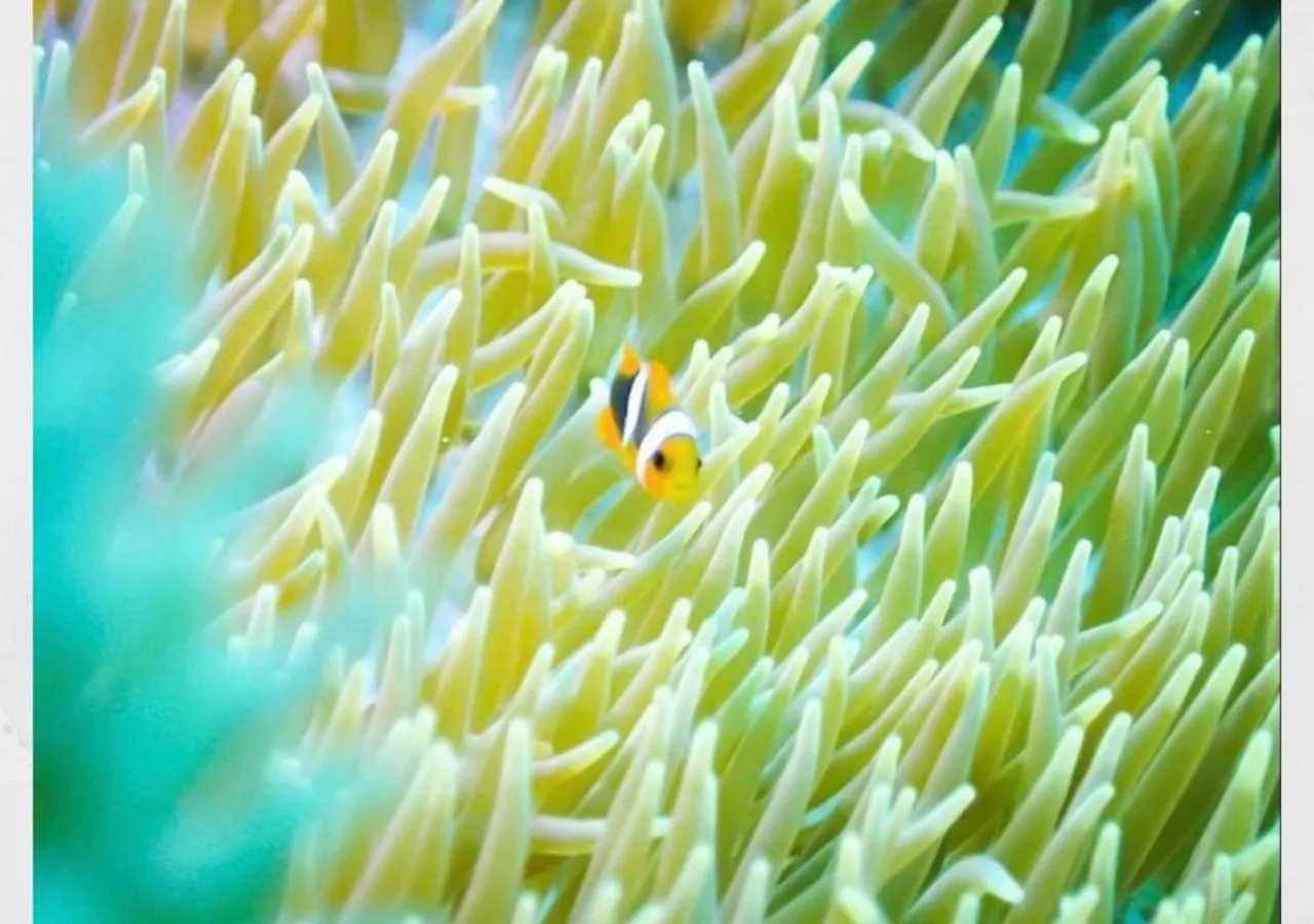 Nearby landmark in Blue Steak Wonder Nagahama