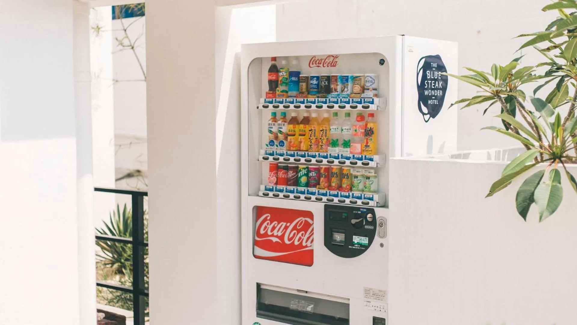 Drinks in Blue Steak Wonder Nagahama