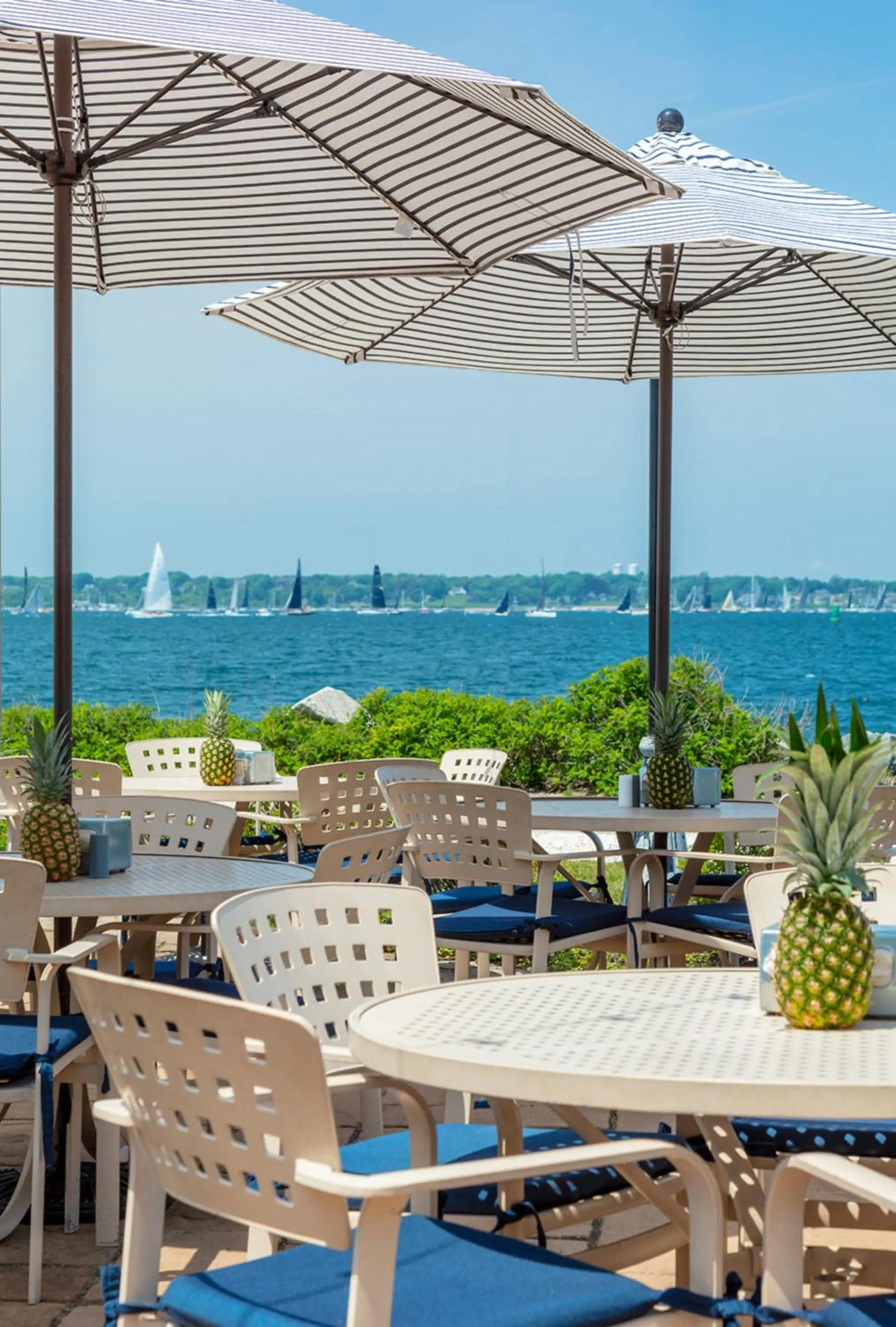 Lounge or bar in Newport Harbor Island Resort