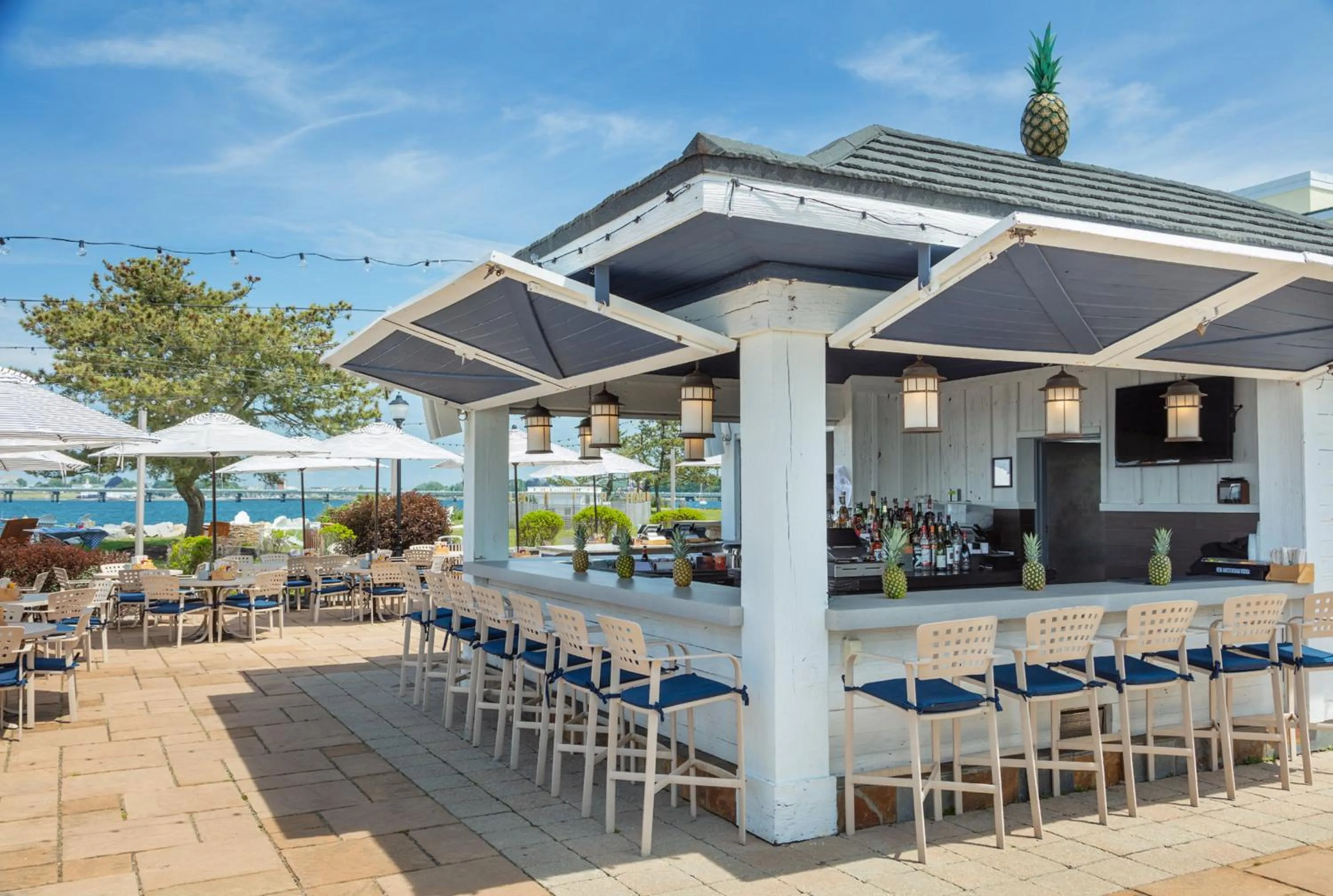 Lounge or bar in Newport Harbor Island Resort