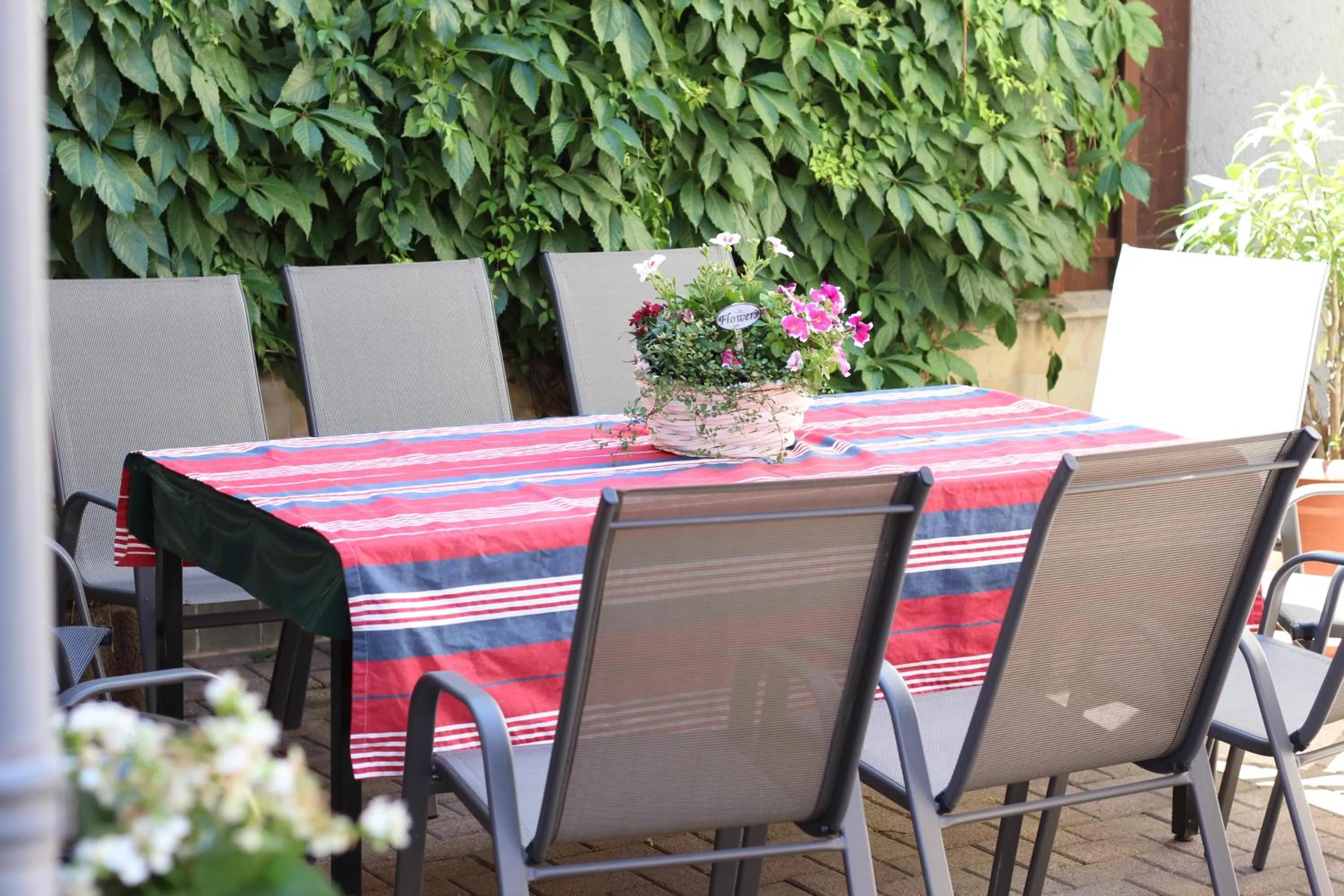 BBQ facilities in Ferienhaus Landeskrone für 10 Personen mit Sauna, Terrasse, inkl Parkplatz in Dresden