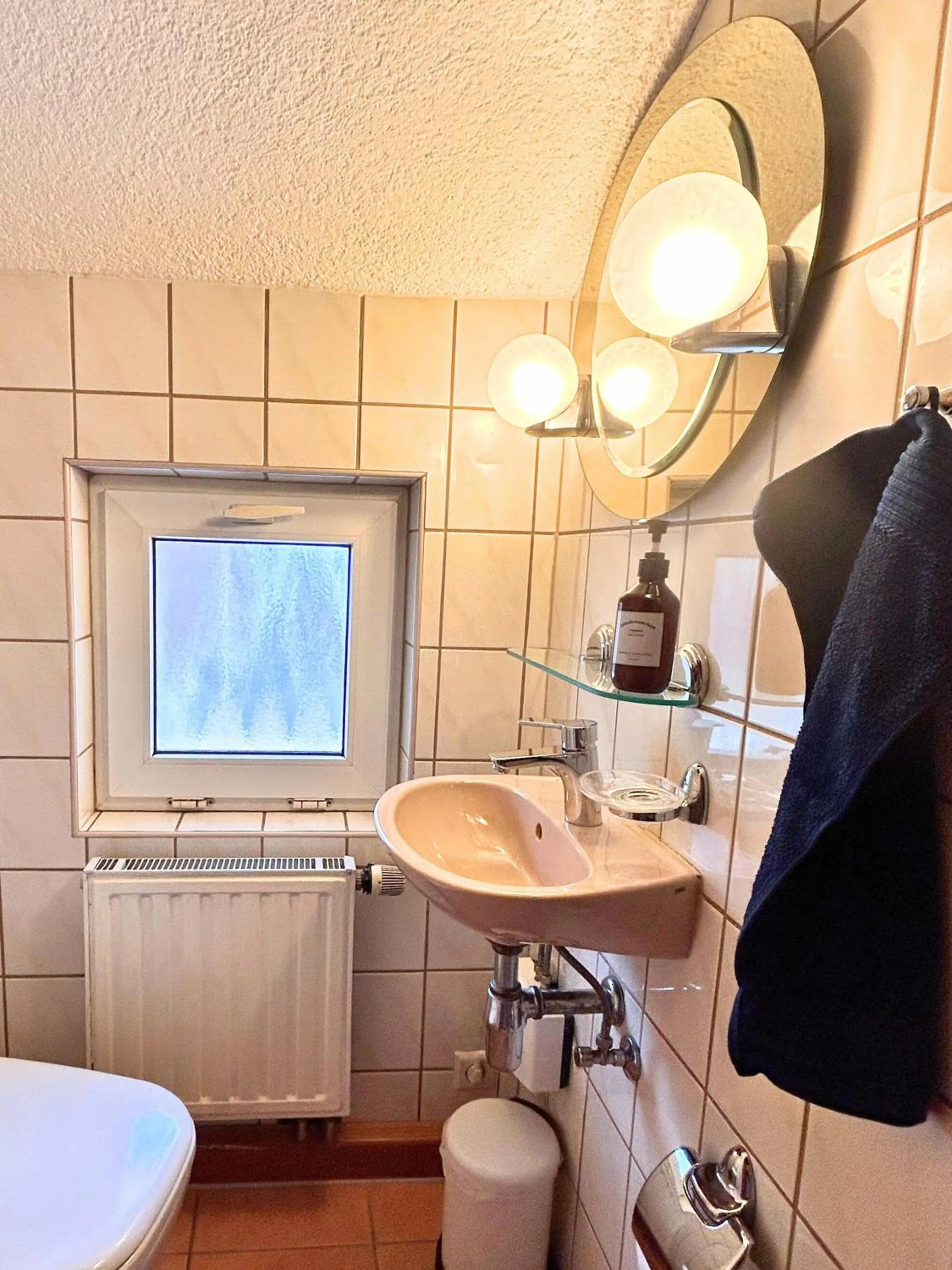 Toilet in Ferienhaus Landeskrone für 10 Personen mit Sauna, Terrasse, inkl Parkplatz in Dresden
