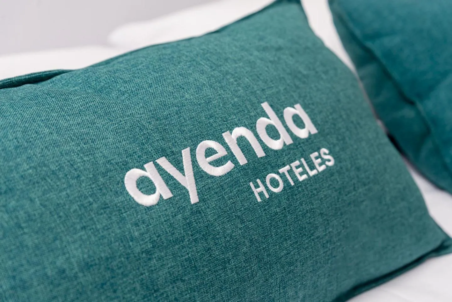 Hotel Ayenda Guadalupe