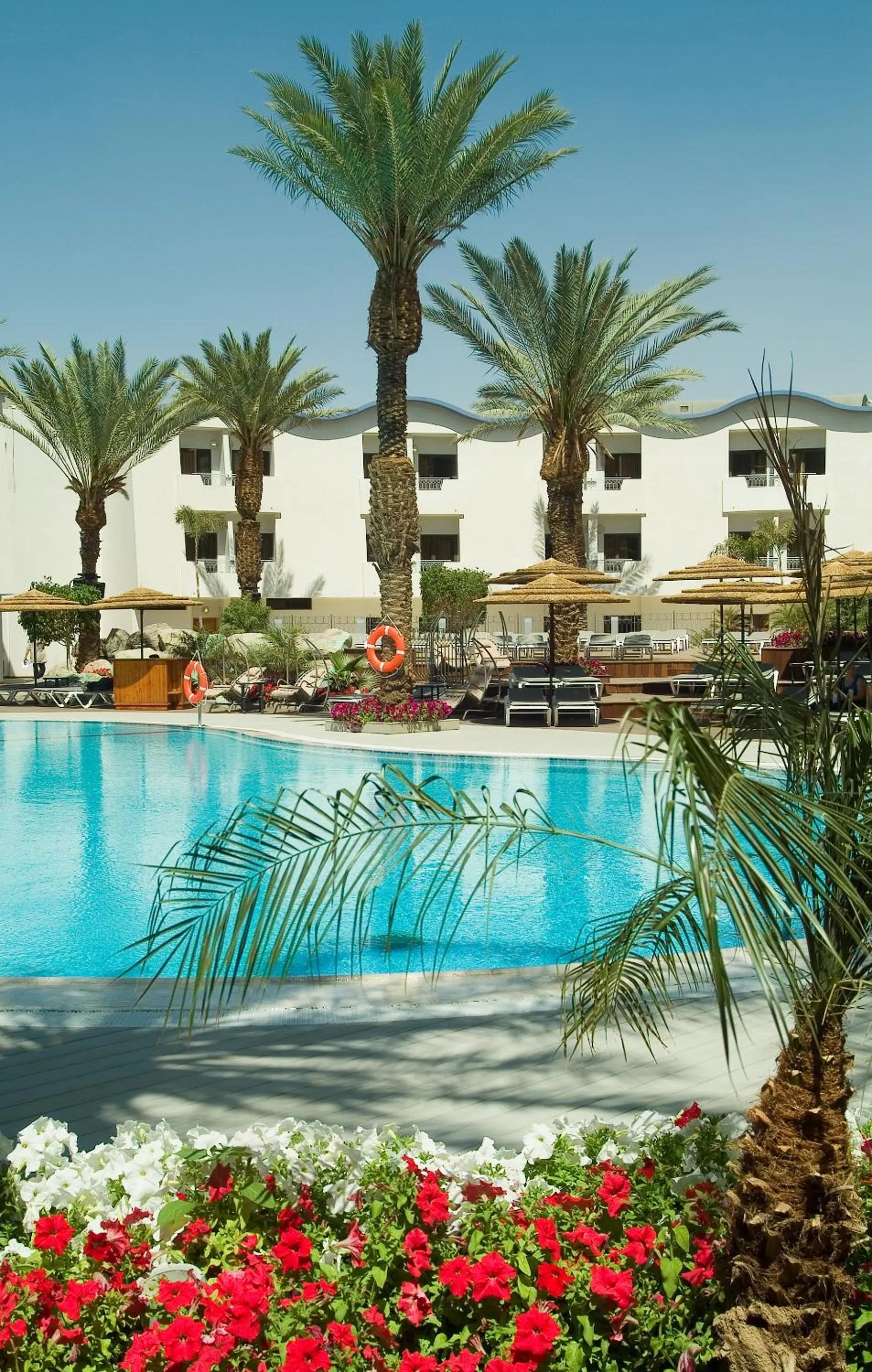 Swimming pool in Leonardo Privilege Eilat Hotel - All inclusive