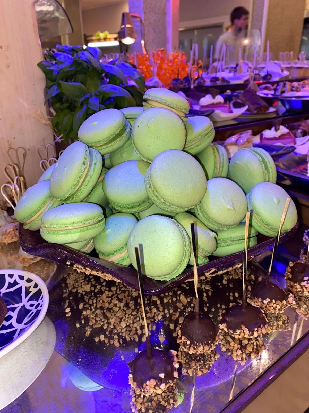 Food and drinks in Leonardo Privilege Eilat Hotel - All inclusive