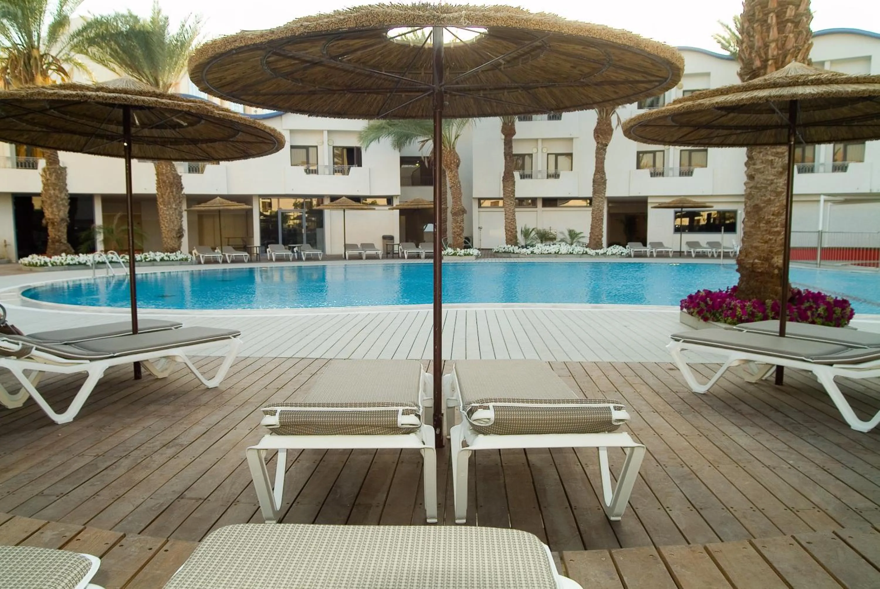 Swimming pool in Leonardo Privilege Eilat Hotel - All inclusive