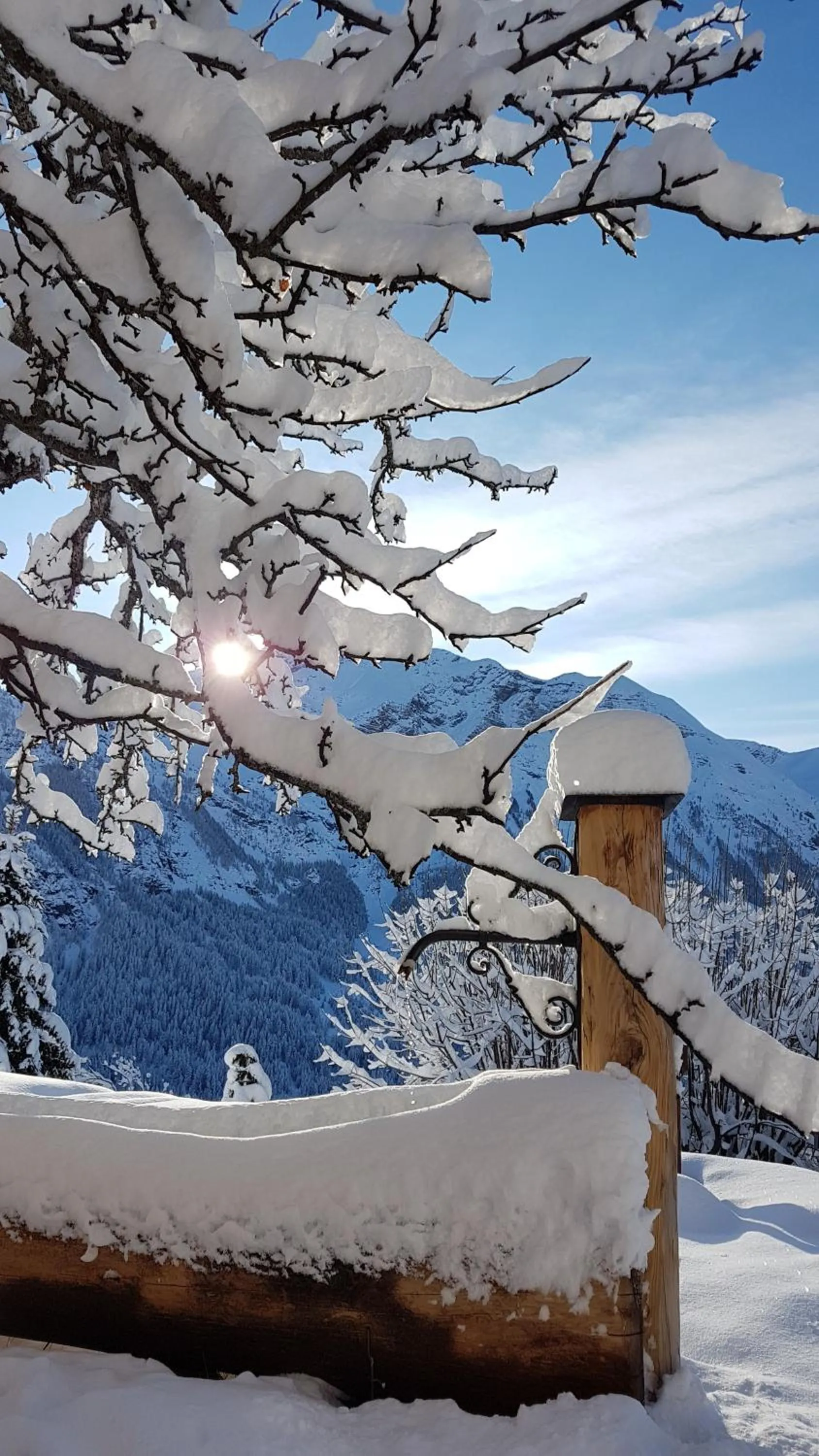 Mountain view in Chalet la Forestière