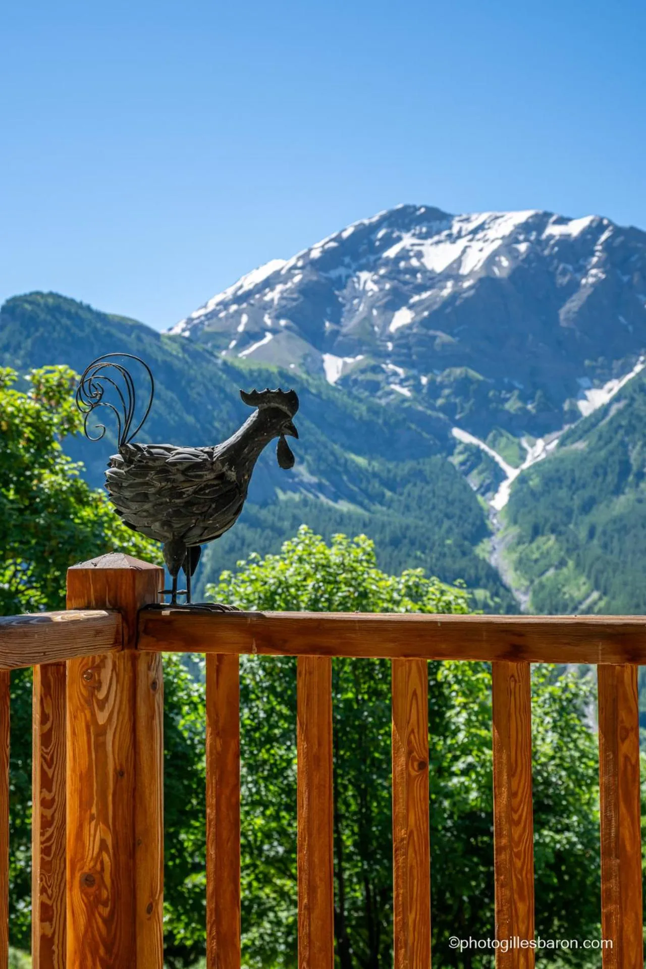Balcony/Terrace in Chalet la Forestière