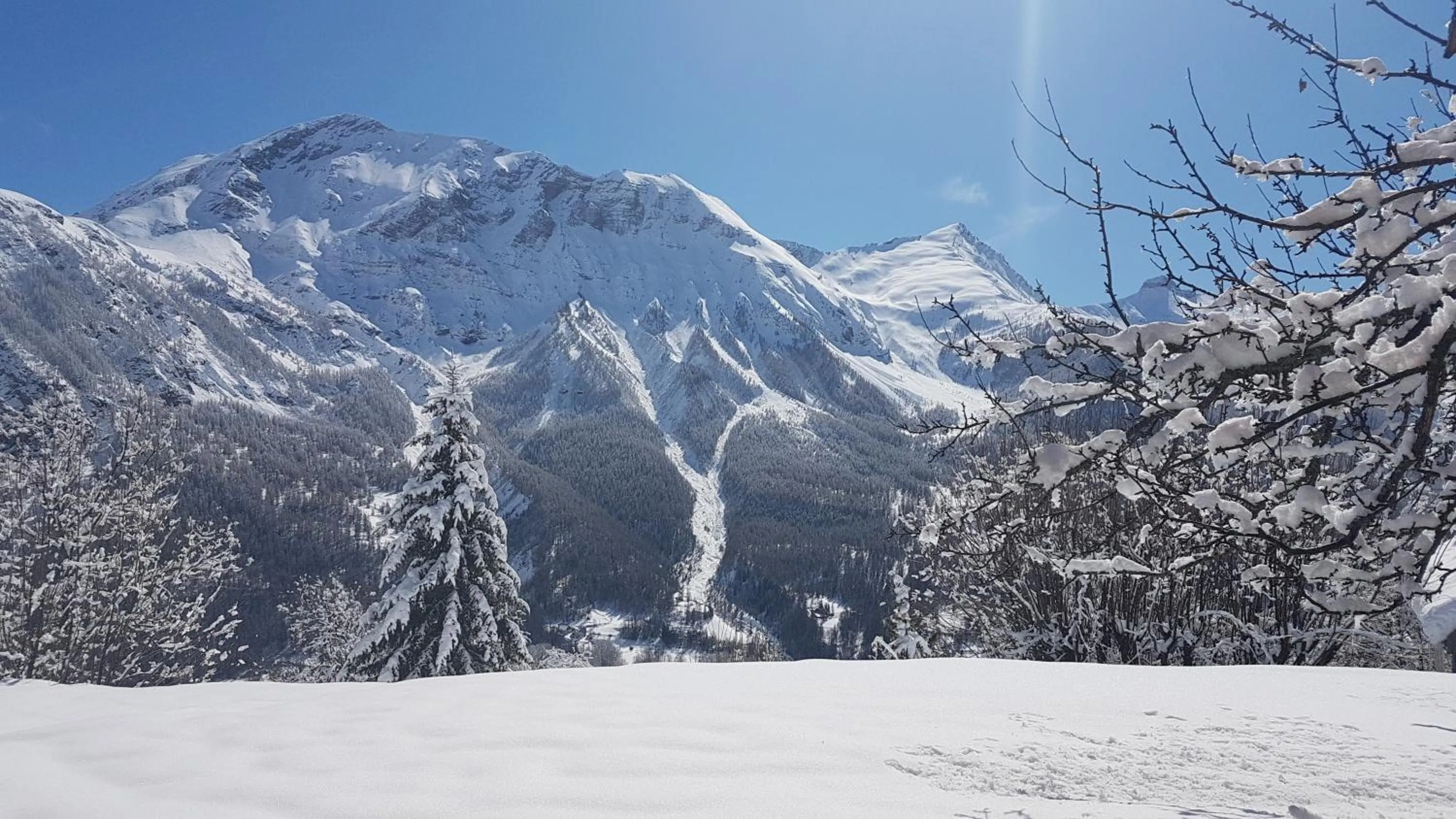 Mountain view in Chalet la Forestière