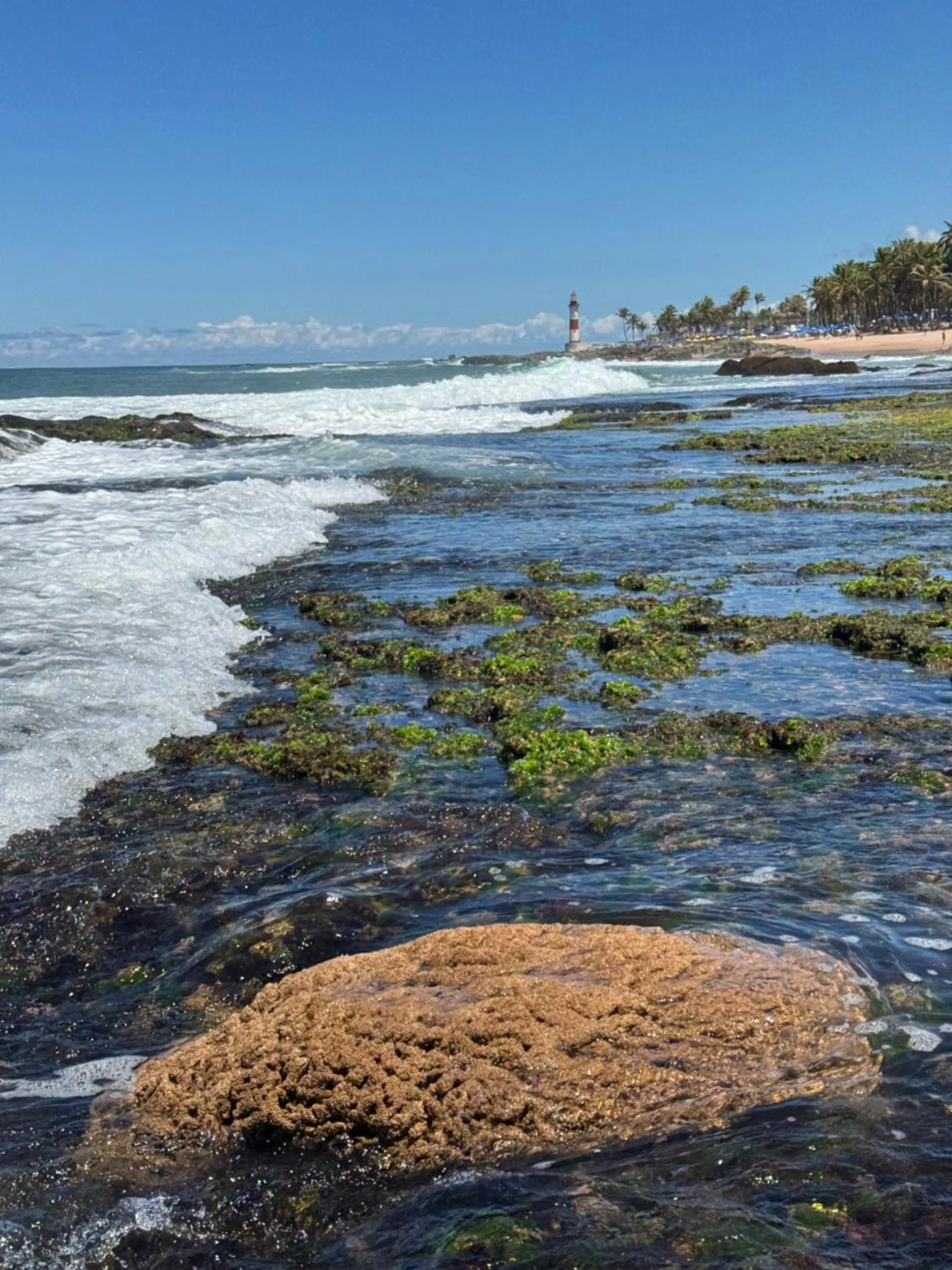 Nearby landmark in Samba Villa da Praia