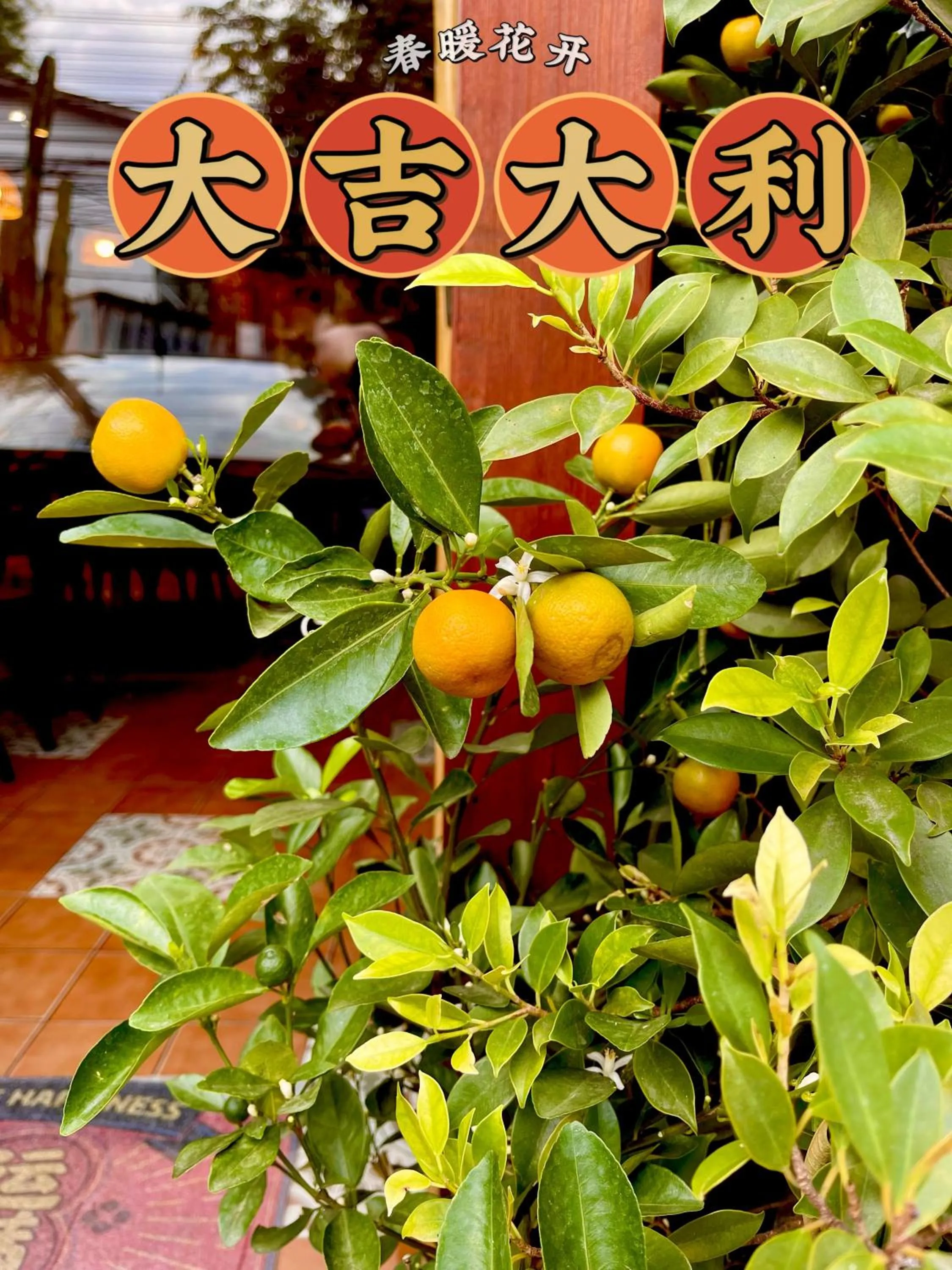 Nego Home Ancient Inn