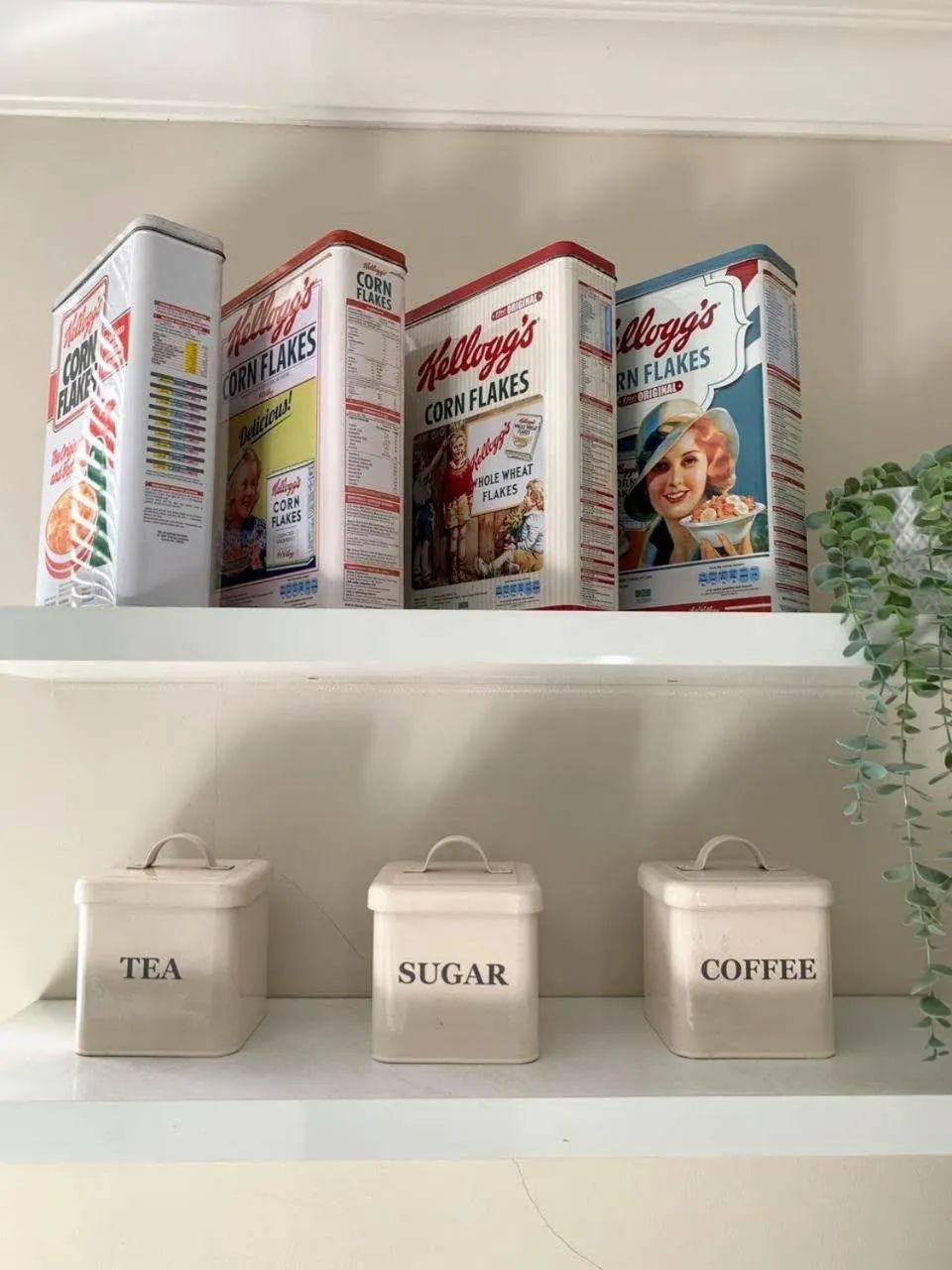 Cottonwood Bed & Breakfast House Bandung