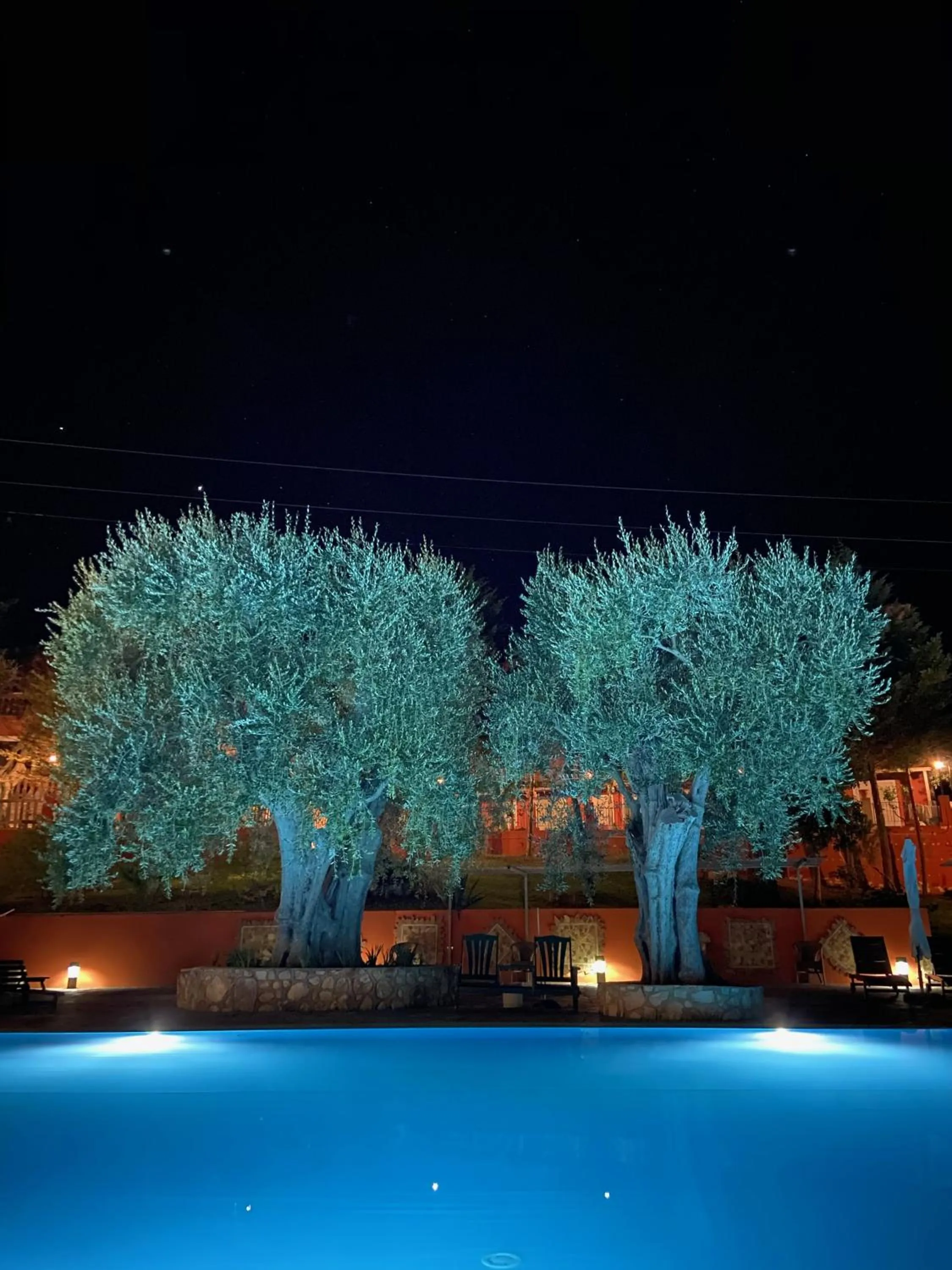 Area and facilities in Hotel Resort Poggio degli Ulivi