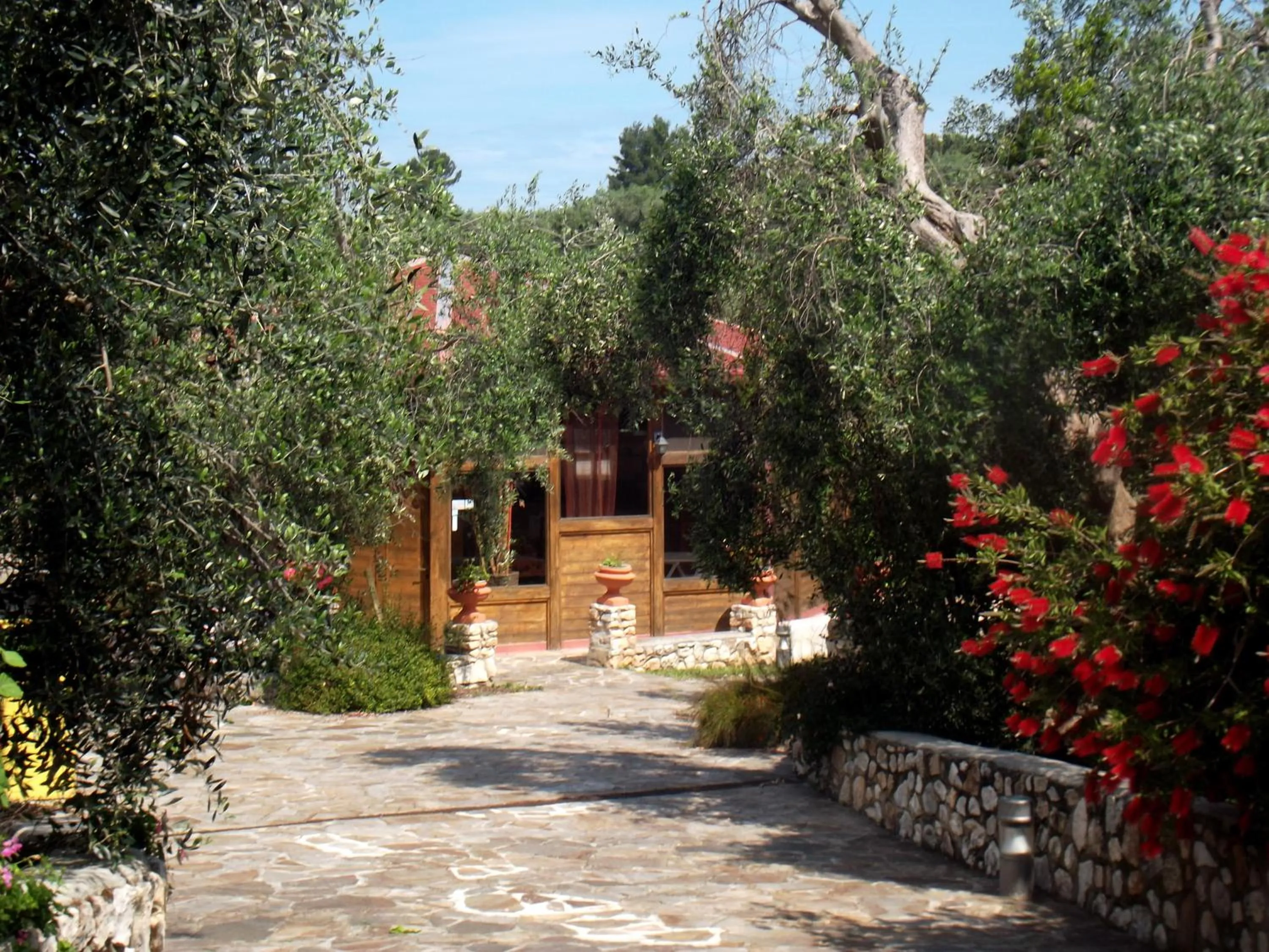 Natural landscape in Hotel Resort Poggio degli Ulivi