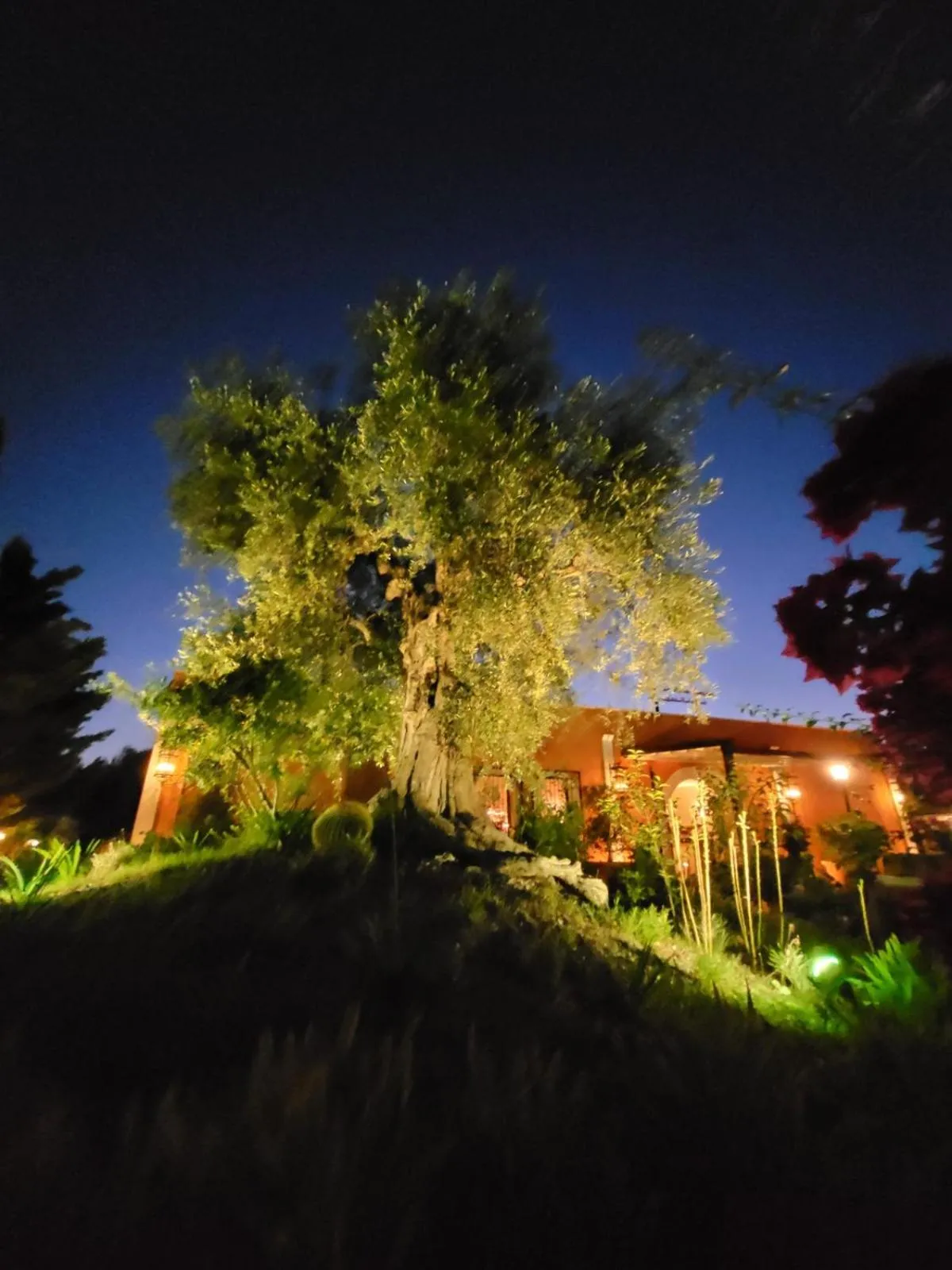 Property building in Hotel Resort Poggio degli Ulivi