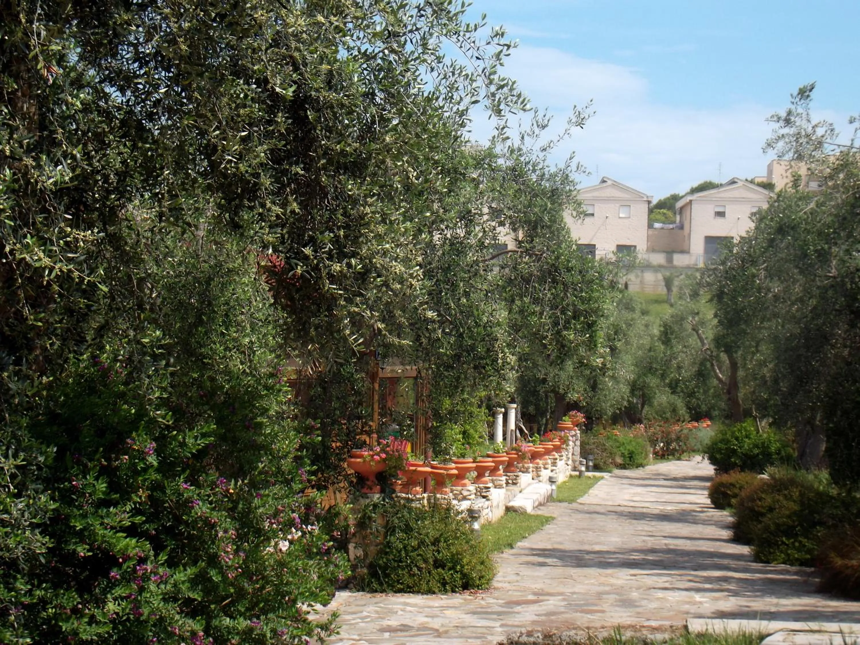 Spring in Hotel Resort Poggio degli Ulivi