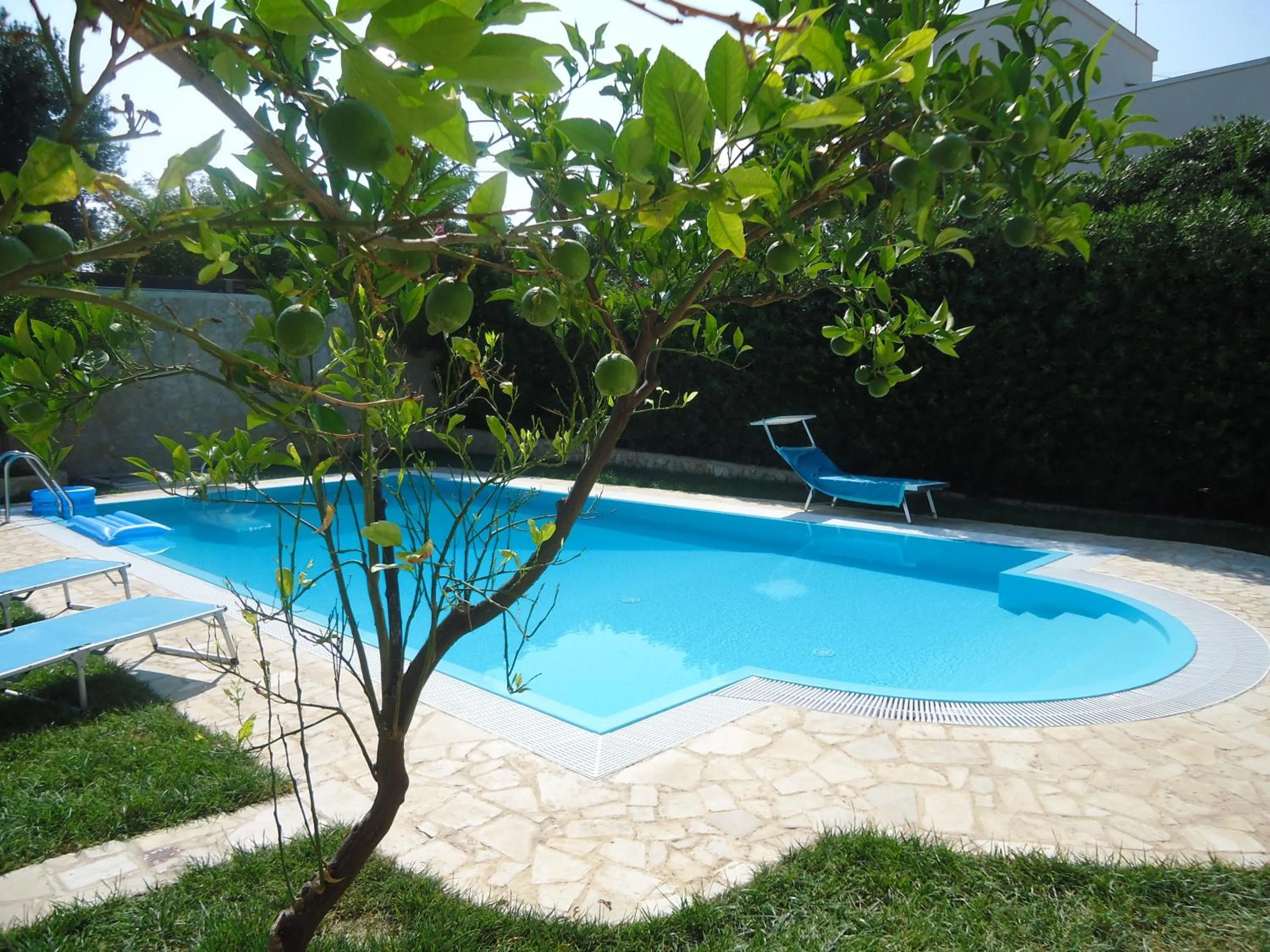 Swimming pool in Villa Dafne