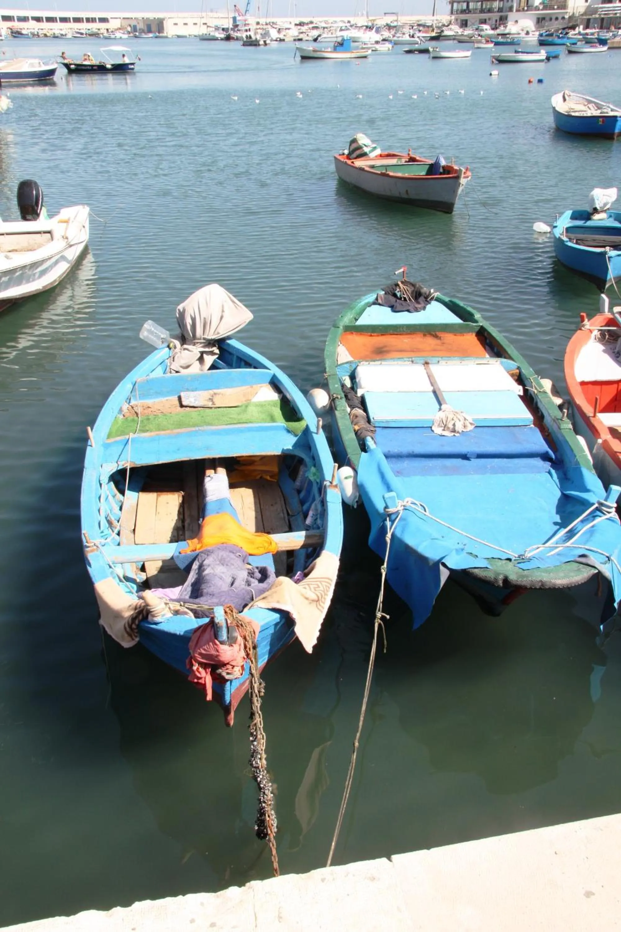 Area and facilities in Villa Dafne