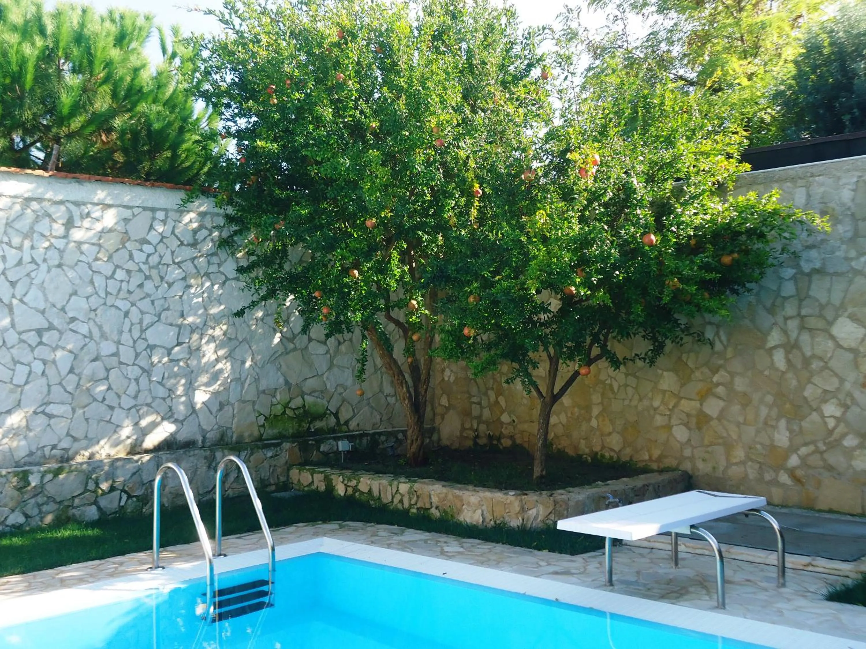 On site in Villa Dafne