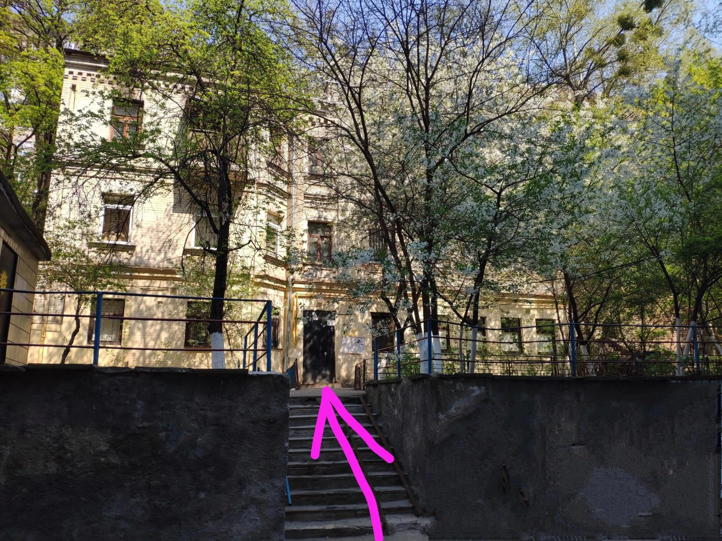 View (from property/room) in Friends Forever